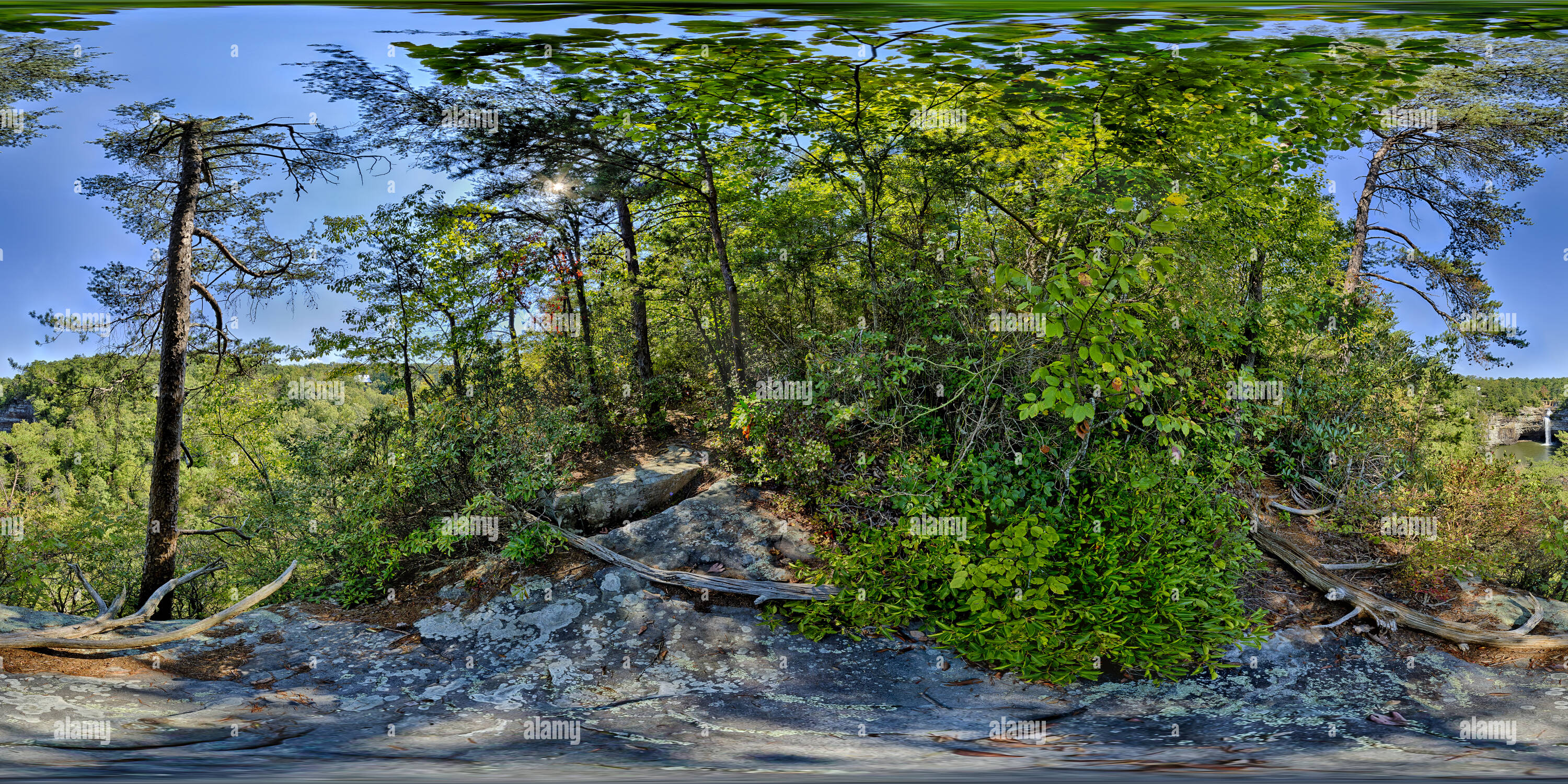 Vue panoramique à 360° de DeSoto Falls