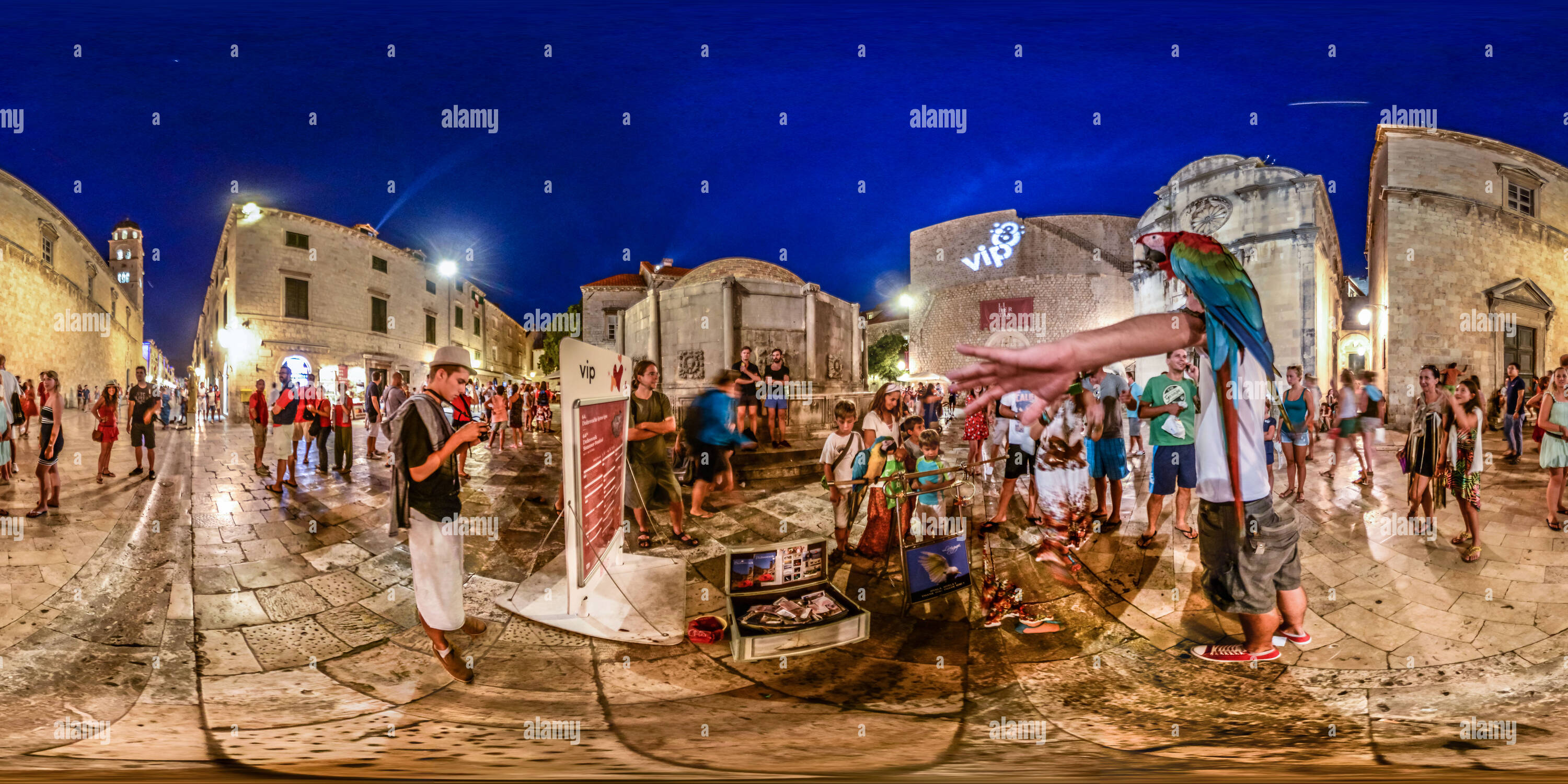 Vue panoramique à 360° de Les perroquets dans la nuit