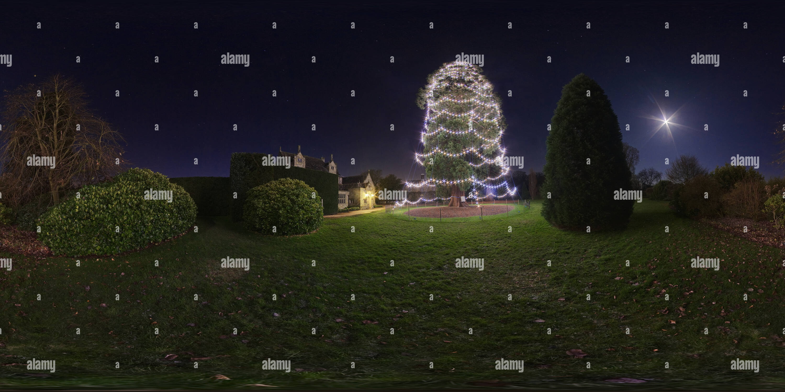 Vue panoramique à 360° de Wakehurst Place 'arbre de Noël' déc 2008