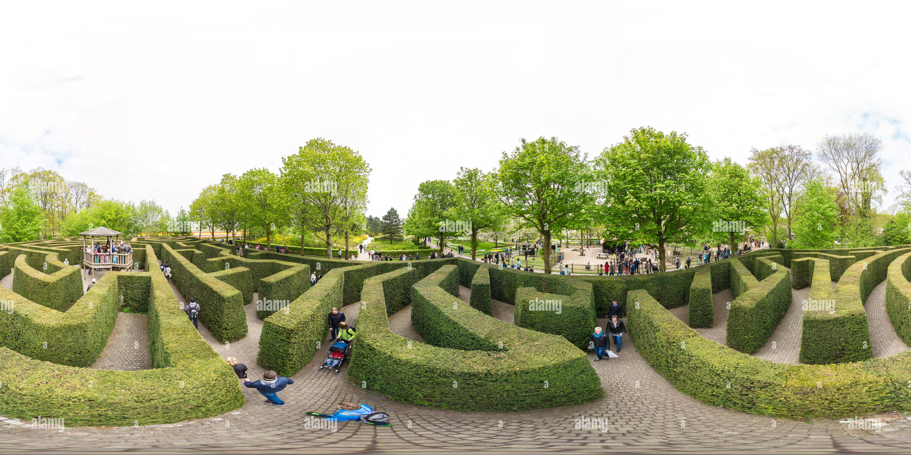 Vue panoramique à 360° de Labyrinthe dans le Keukenhof