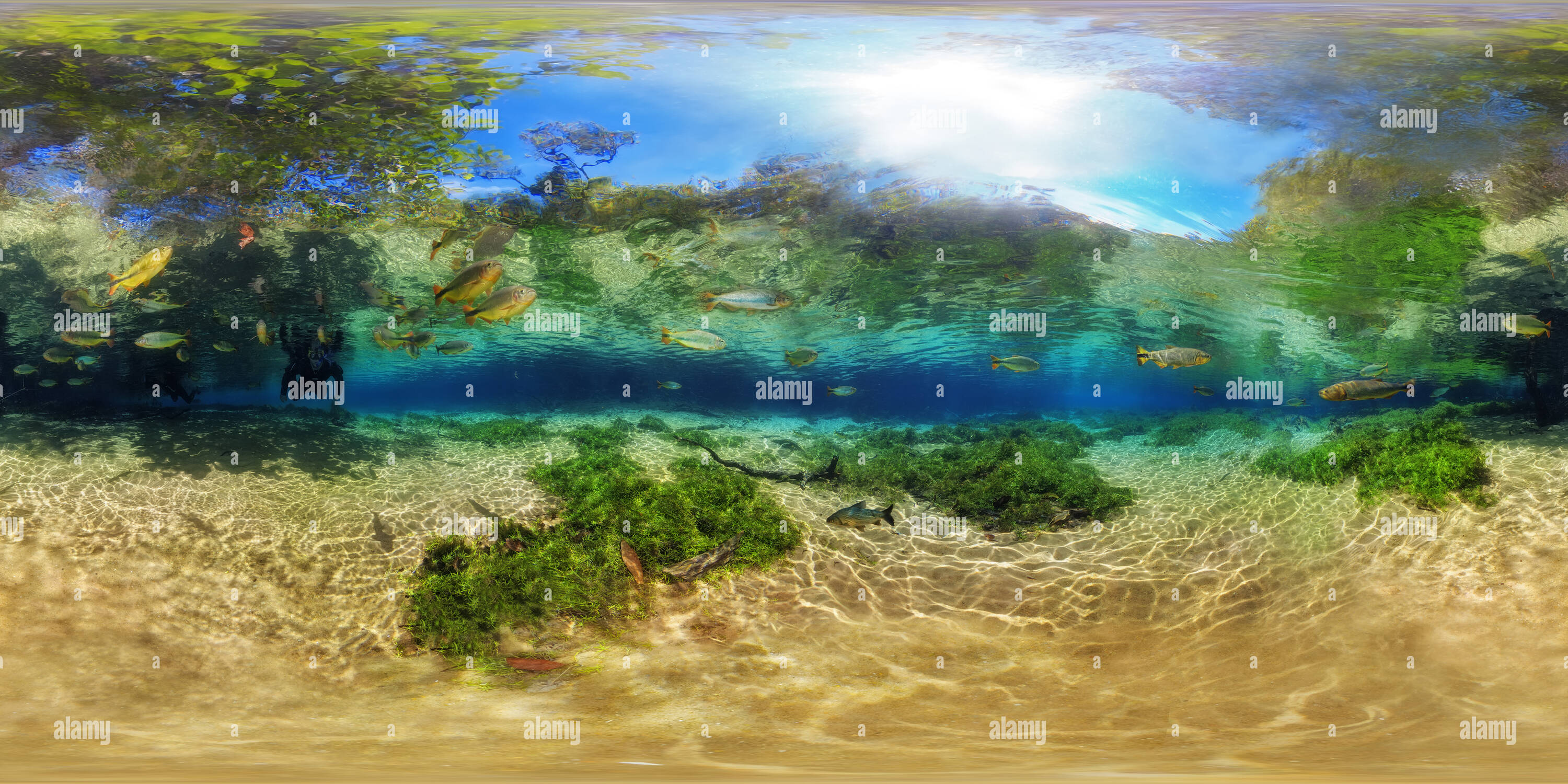 Vue panoramique à 360° de - Suit les fluctuations de la rivière Olho dagua.