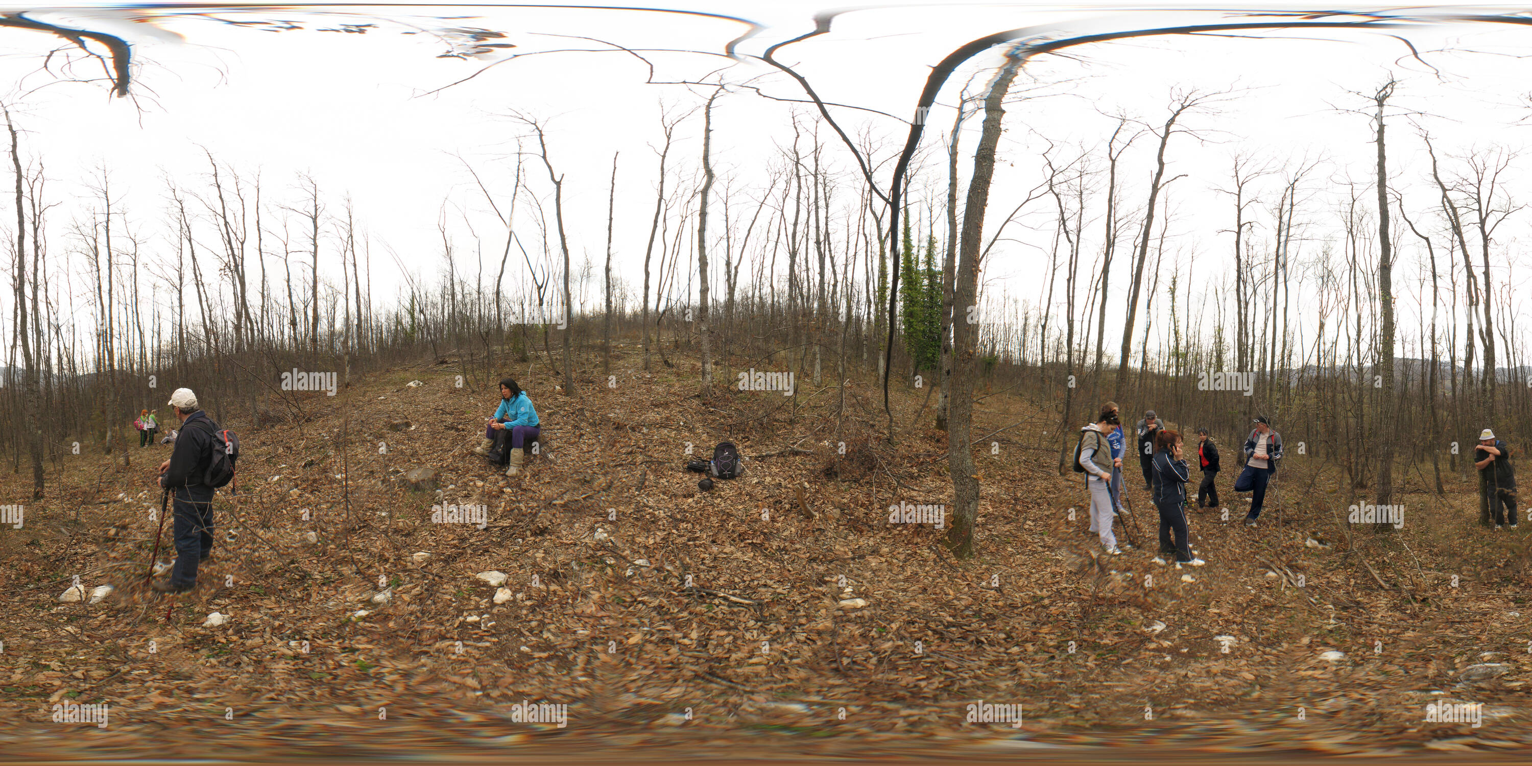 Vue panoramique à 360° de Shanghai - Woods sur les pentes de l'acide malique