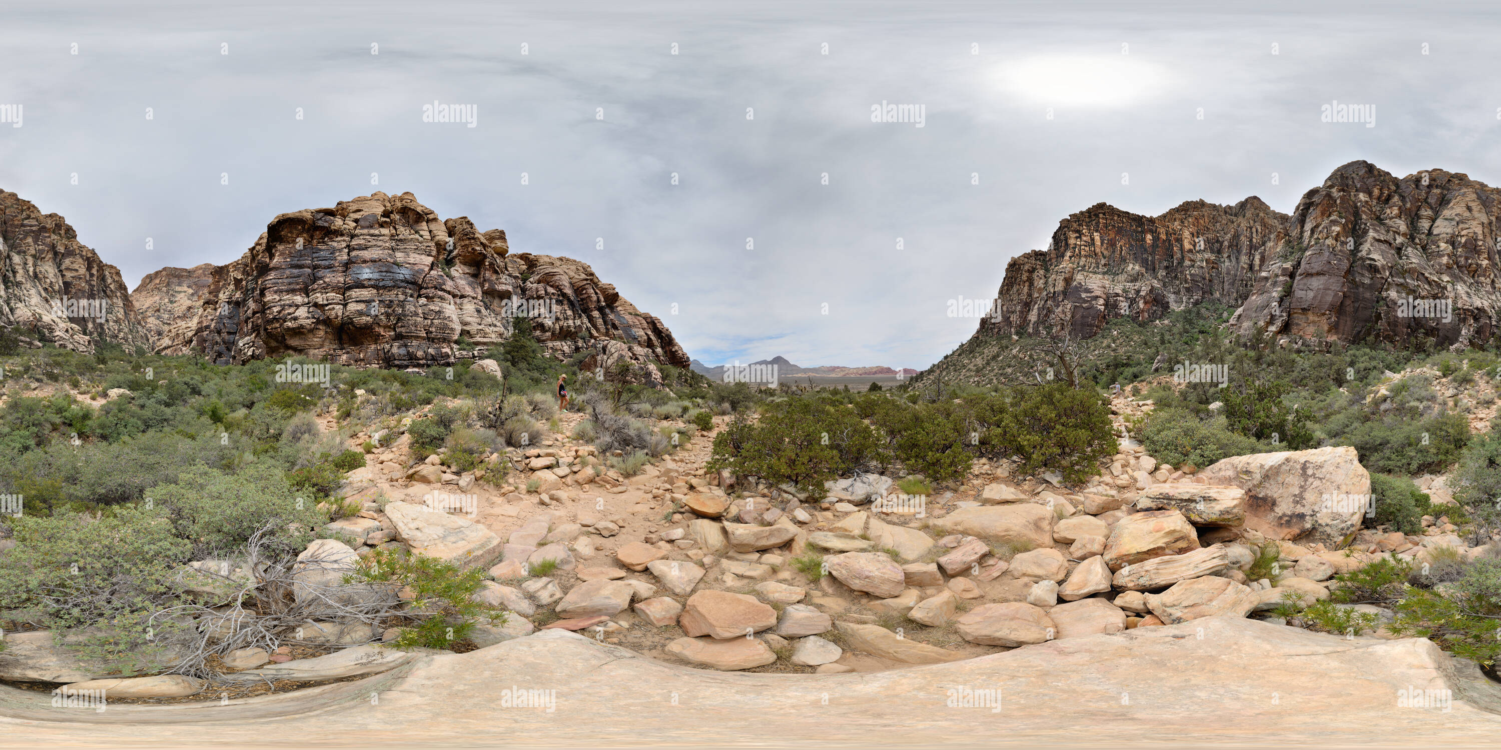 Vue panoramique à 360° de Ice Box Canyon, Red Rock Canyon National Conservation Area, Nevada, USA