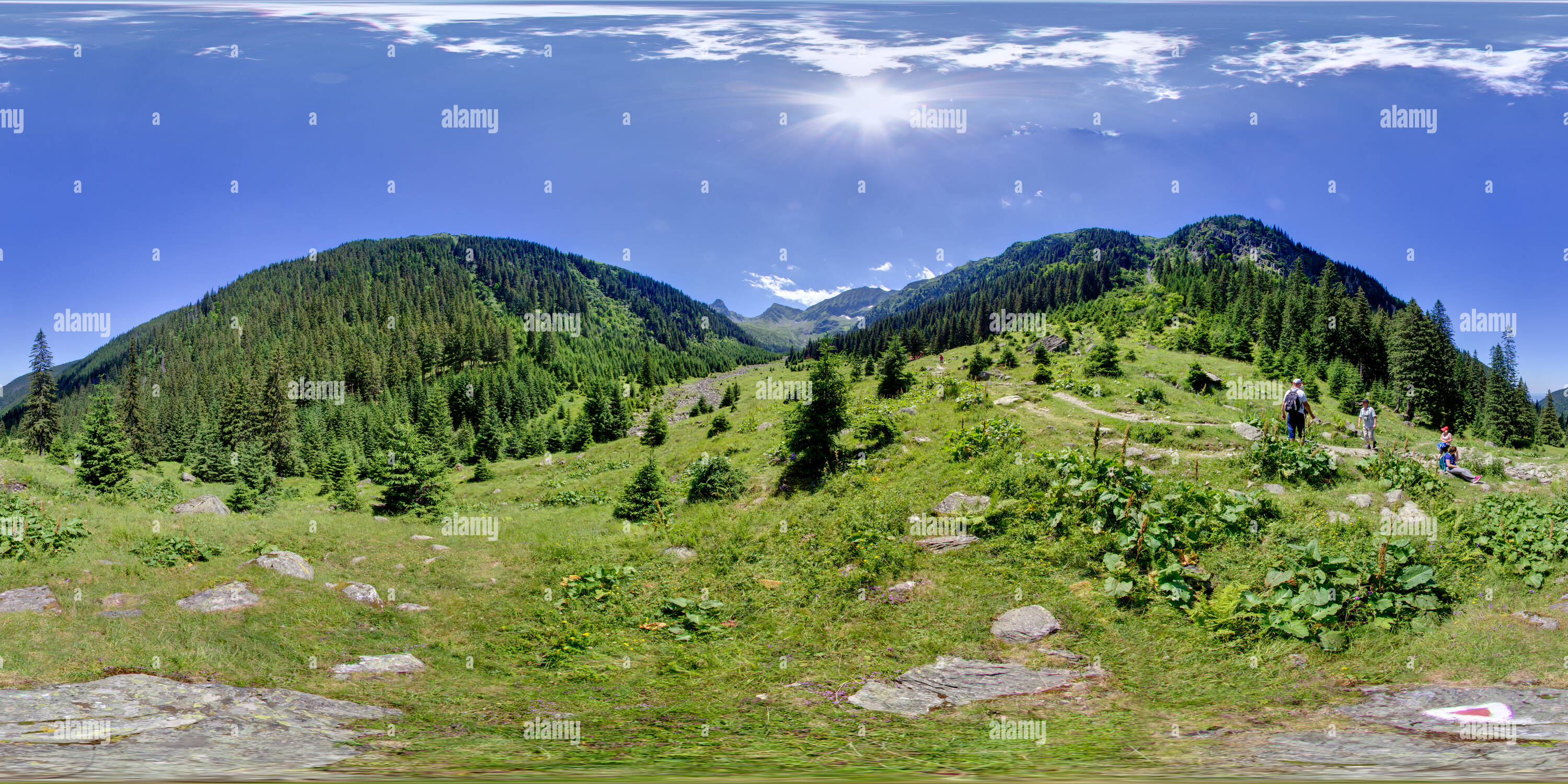 Vue panoramique à 360° de Valea Sâmbetei 1