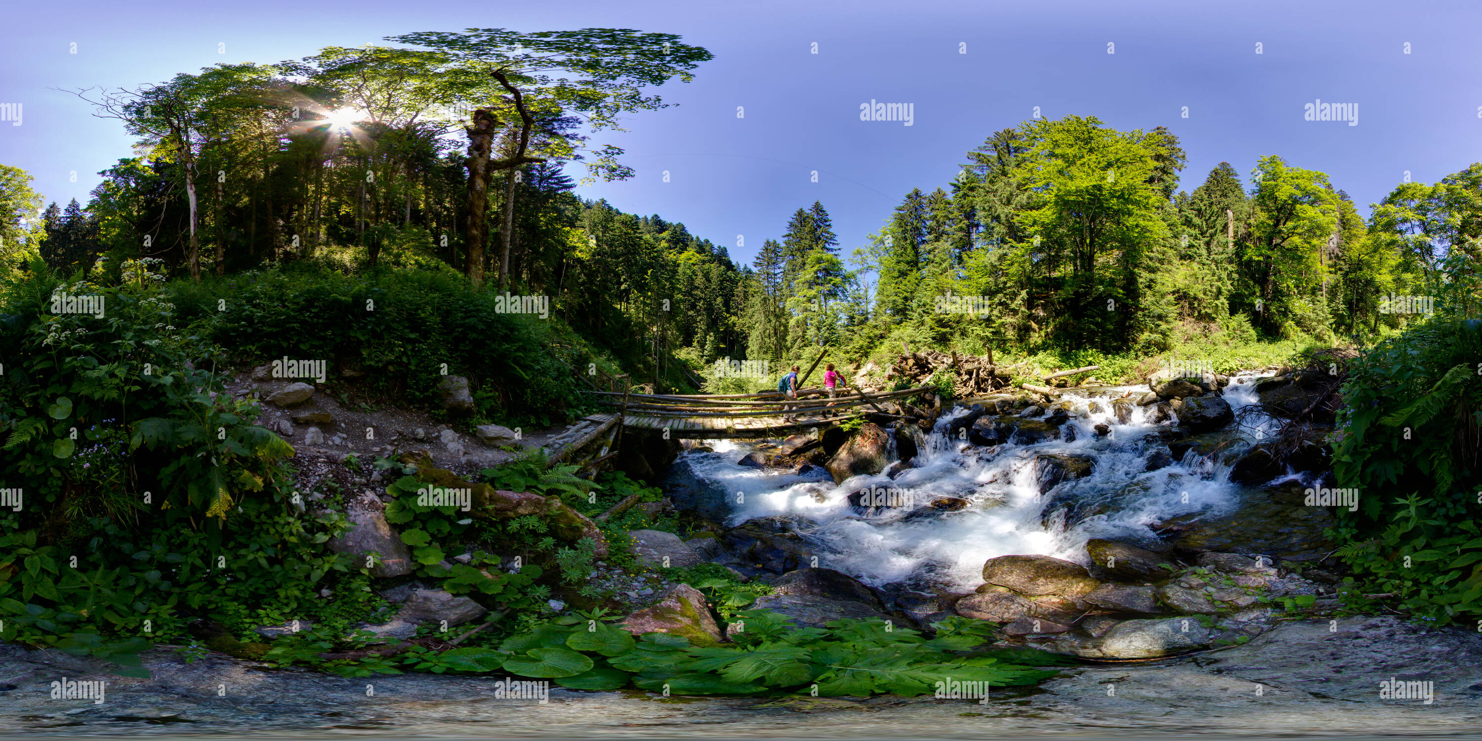 Vue panoramique à 360° de Valea Sâmbetei, passerelle en bois