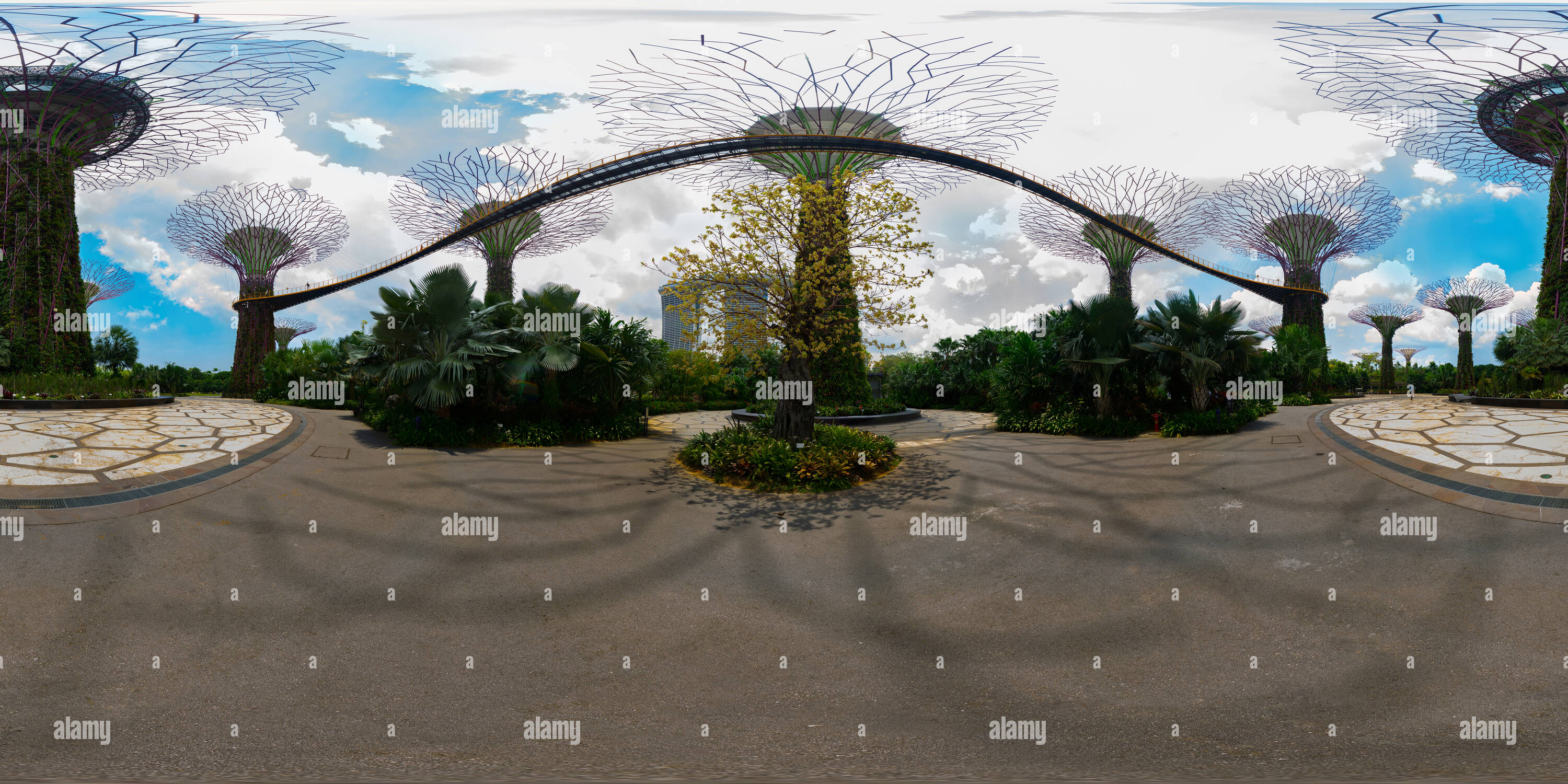 Vue panoramique à 360° de Arbre de jardins au bord de la bay, Singapour