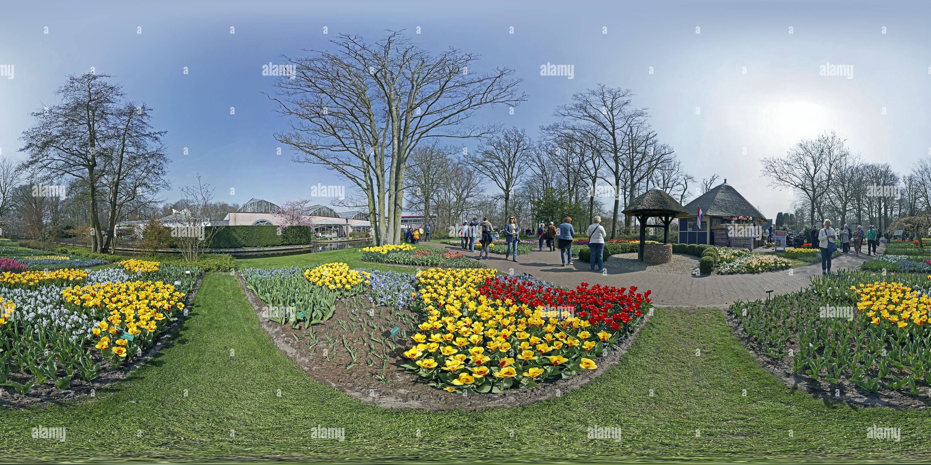 Vue panoramique à 360° de Keukenhof, fleurs, vue 3