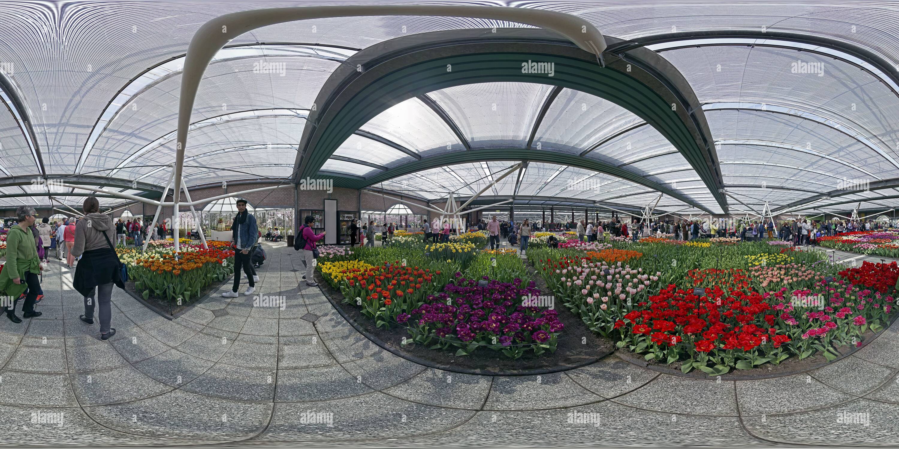 Vue panoramique à 360° de Keukenhof, émissions