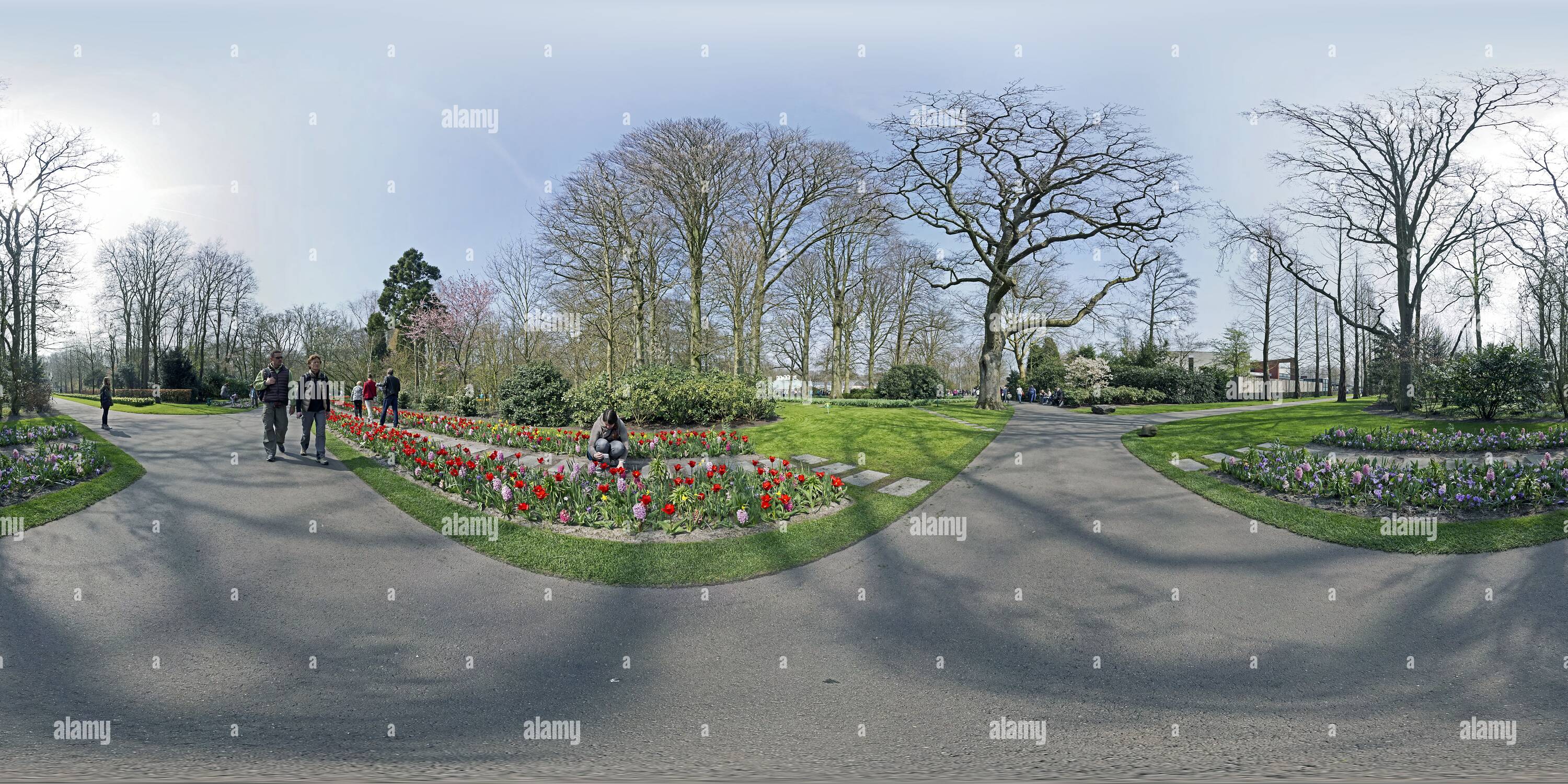 Vue panoramique à 360° de Keukenhof, fleurs, vue 2