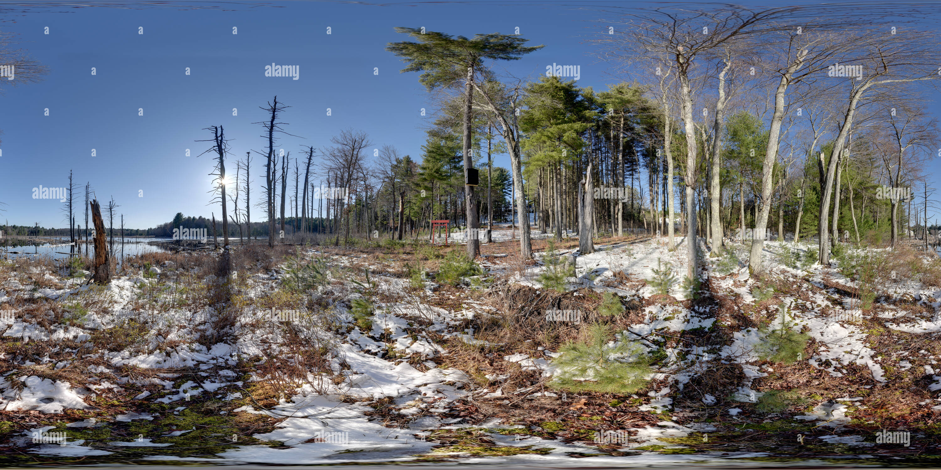 Vue panoramique à 360° de Big Bat House - Ouvert pour occupation immédiate