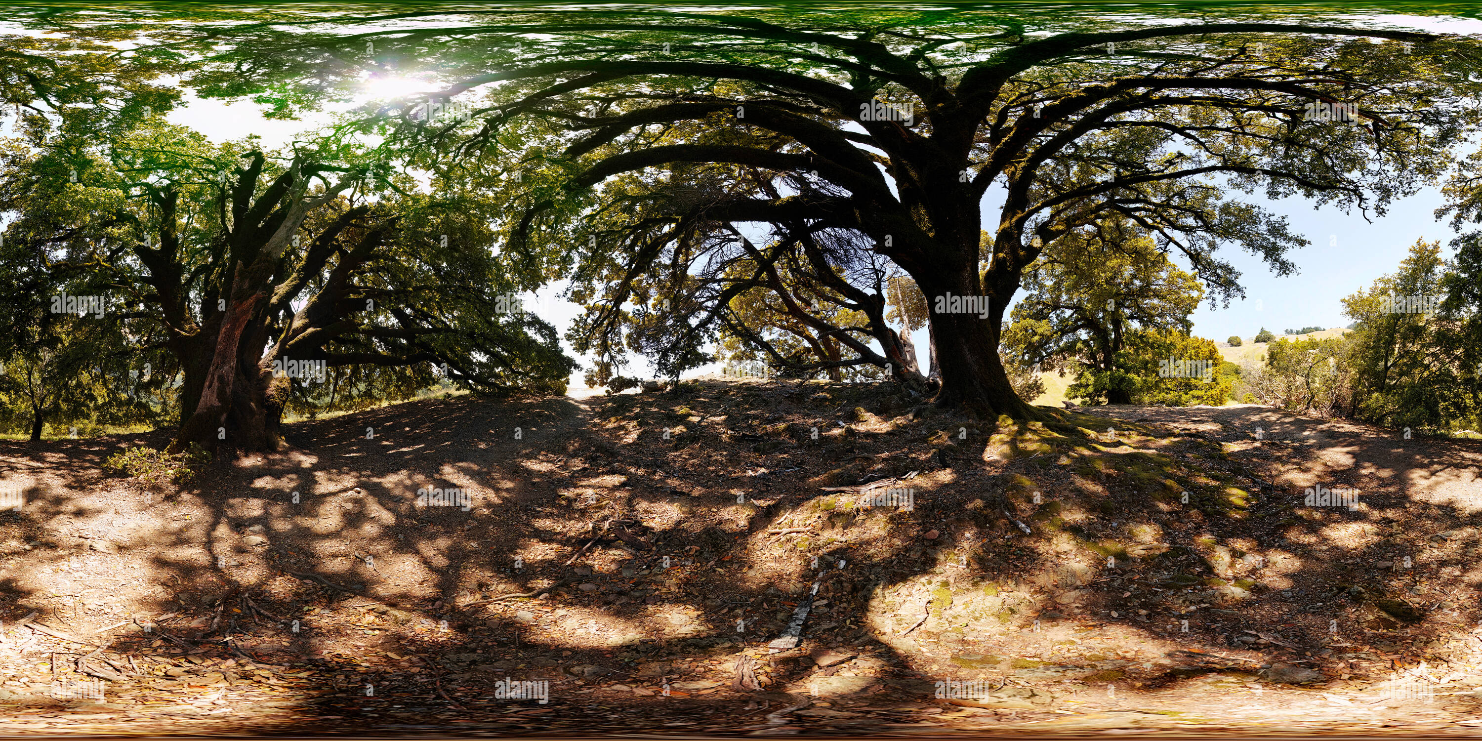 Vue panoramique à 360° de La rainure à Bolinas Ridge