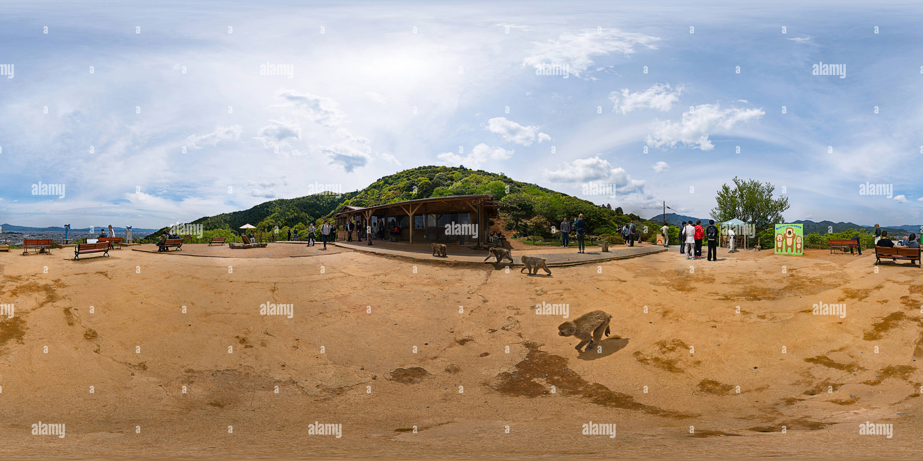 Vue panoramique à 360° de Parc du singe Arashiyama