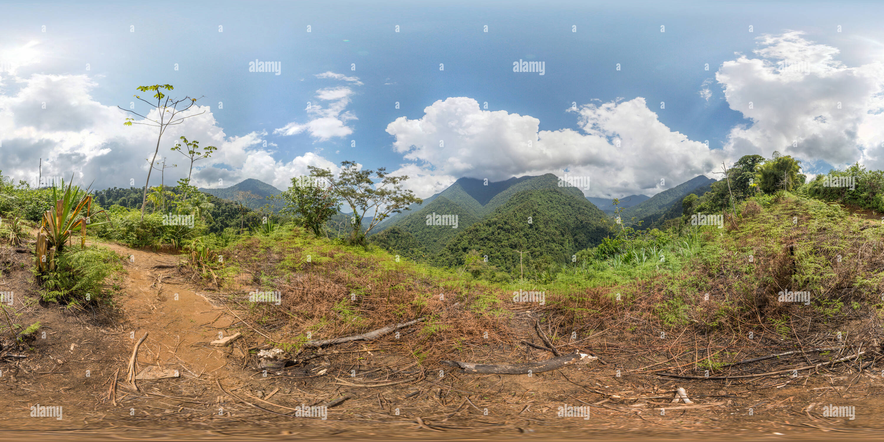 Vue panoramique à 360° de Colombie - Lost City Trek 16 Jungle-Covered - Montagne