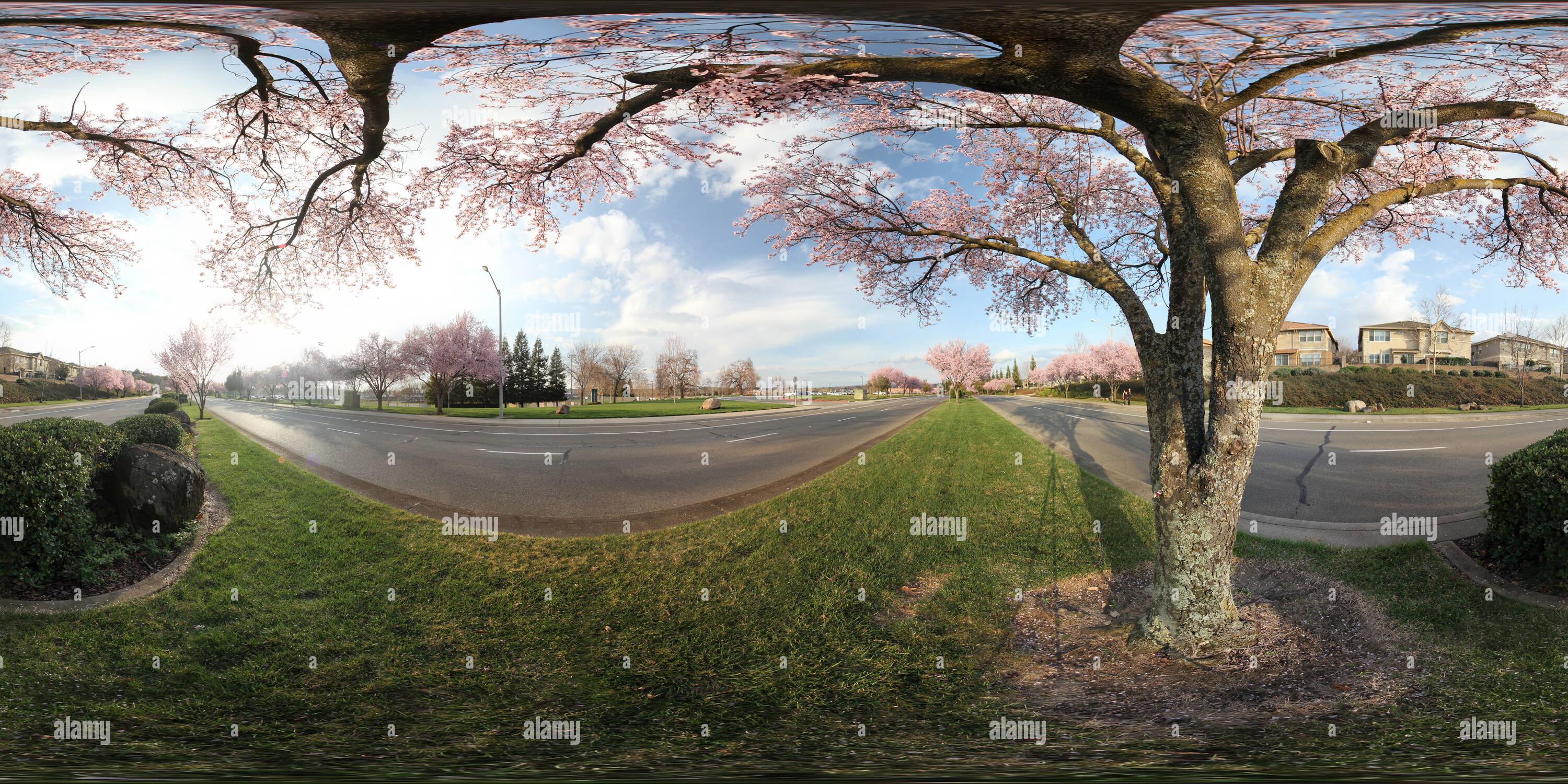 Vue panoramique à 360° de Fleurit sur Park Avenue