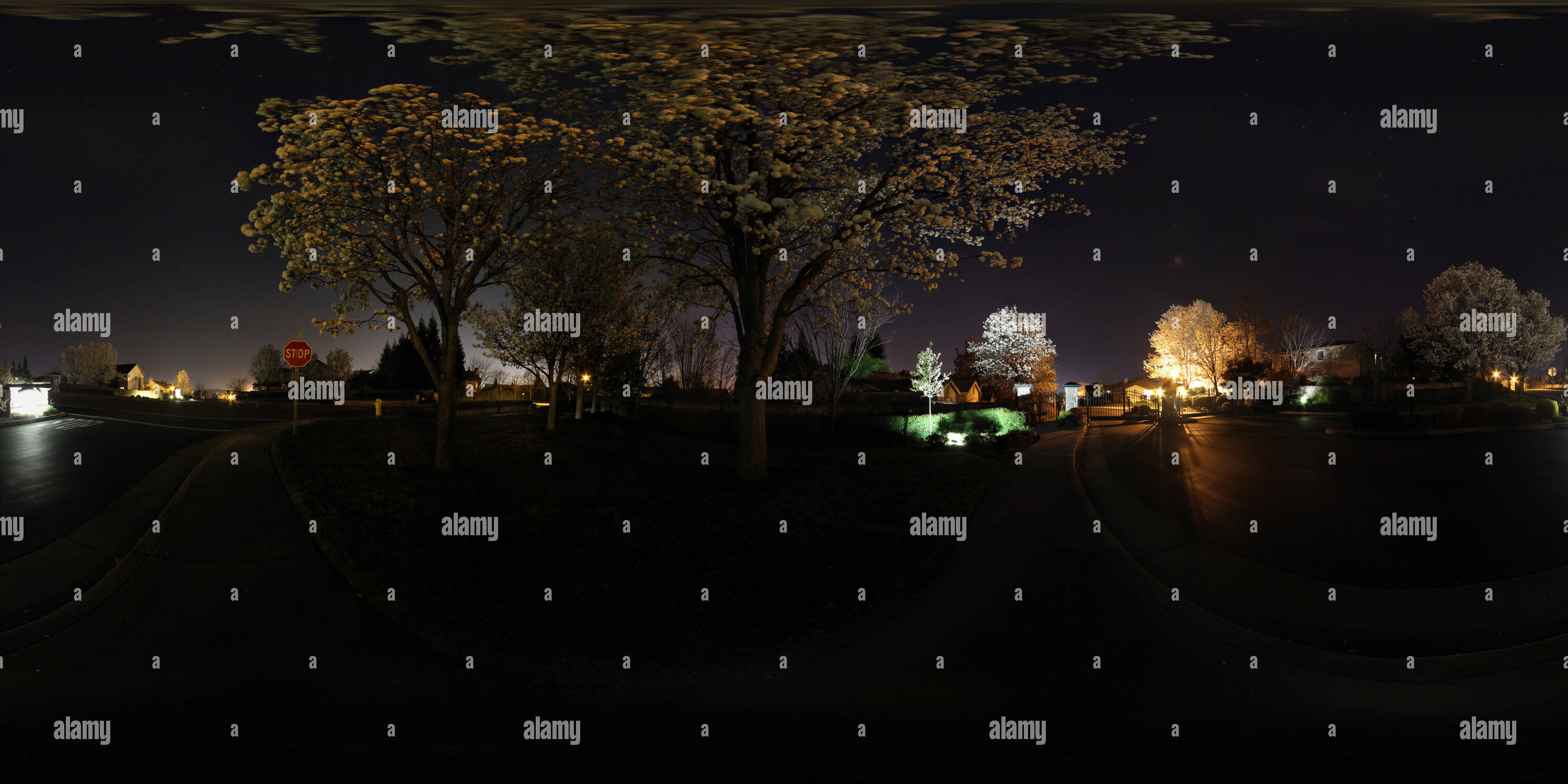 Vue panoramique à 360° de Fleurs de nuit à Rocklin