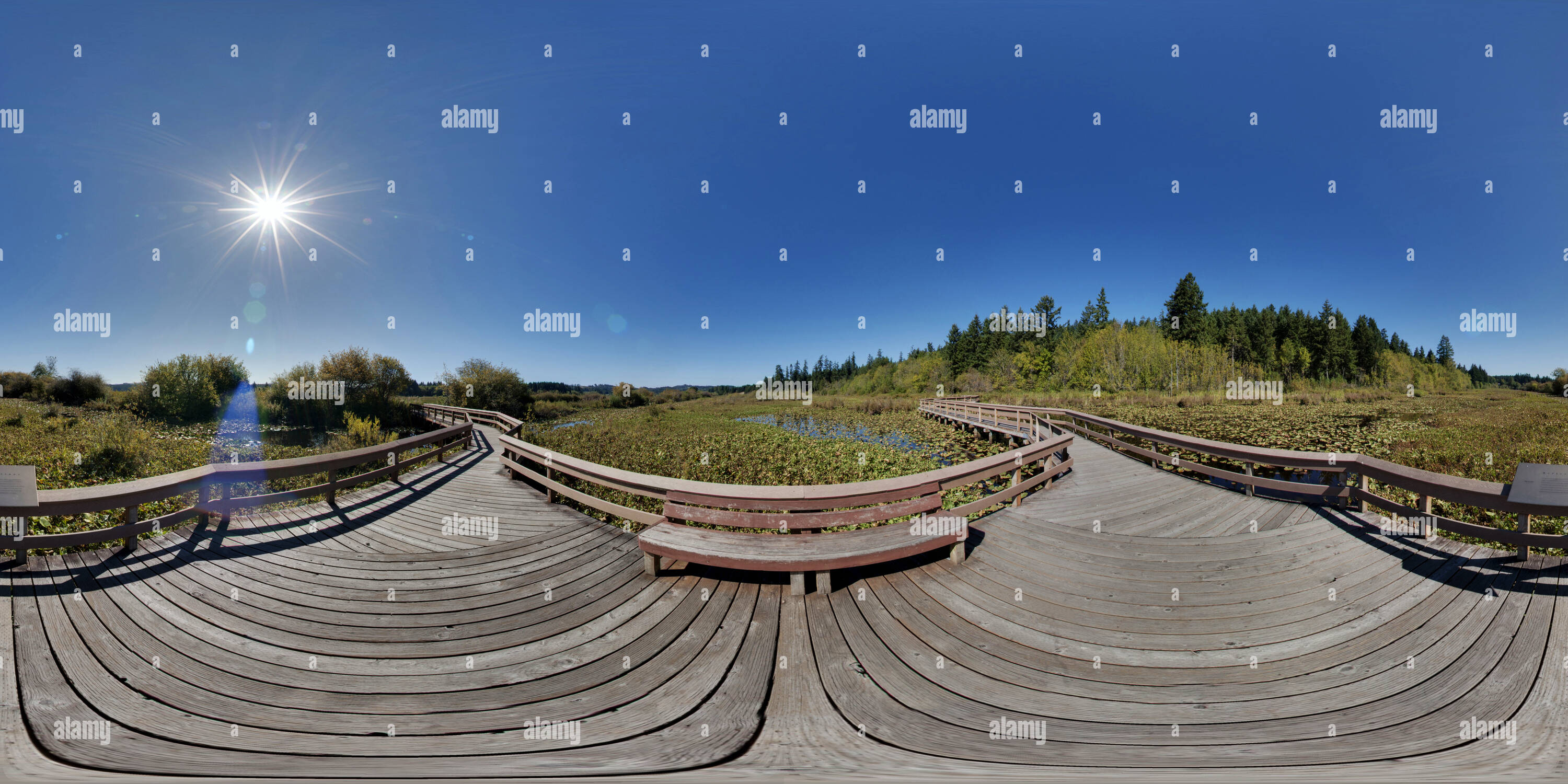 Vue panoramique à 360° de Sentier du Lac d'argent à Seaquest State Park, Washington