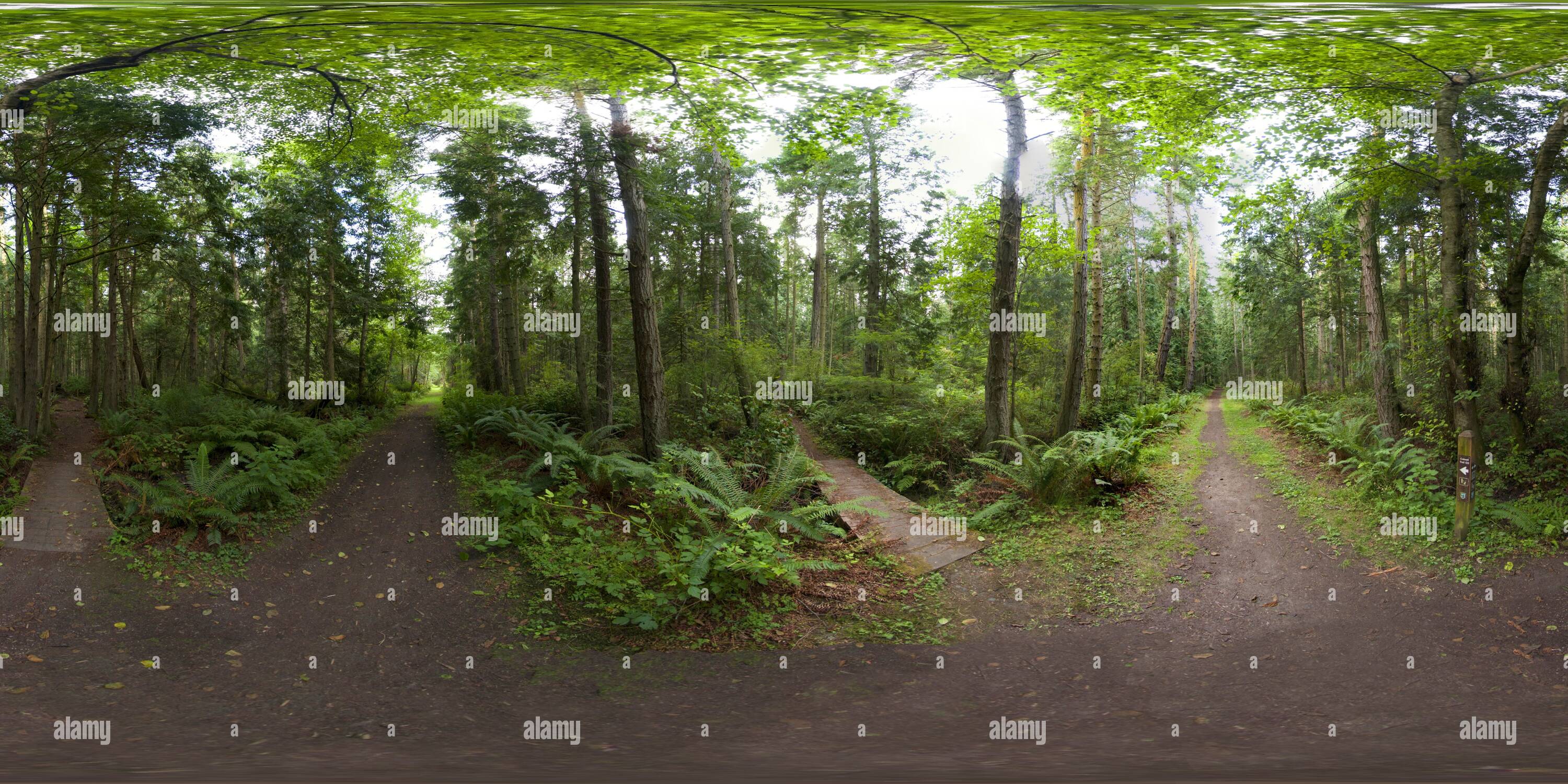 Vue panoramique à 360° de Calwell Trail - Parc d'état de Fort Flagler, Washington