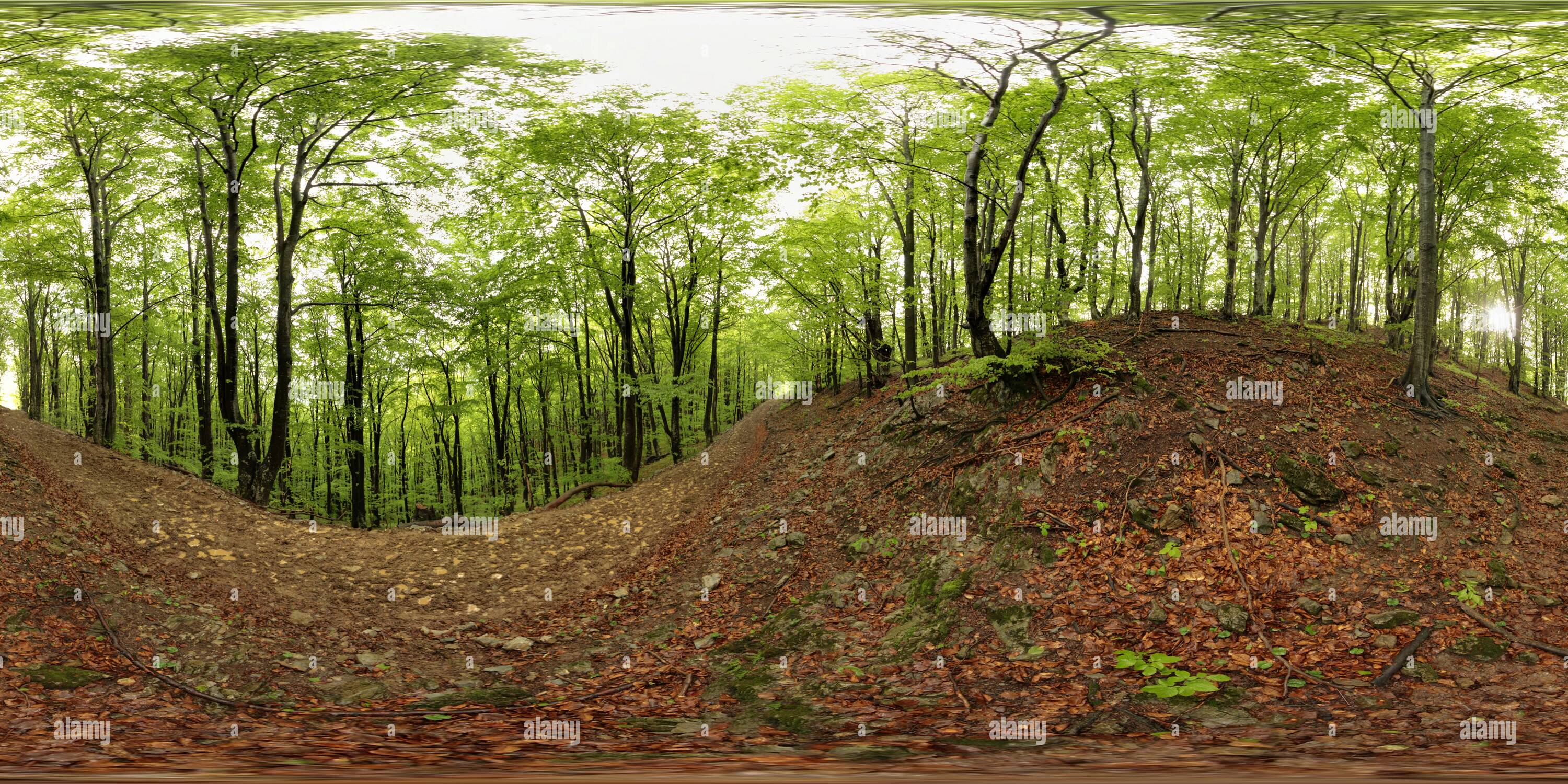 Vue panoramique à 360° de Vue sur la forêt 22 Mai 2010 Cornereva