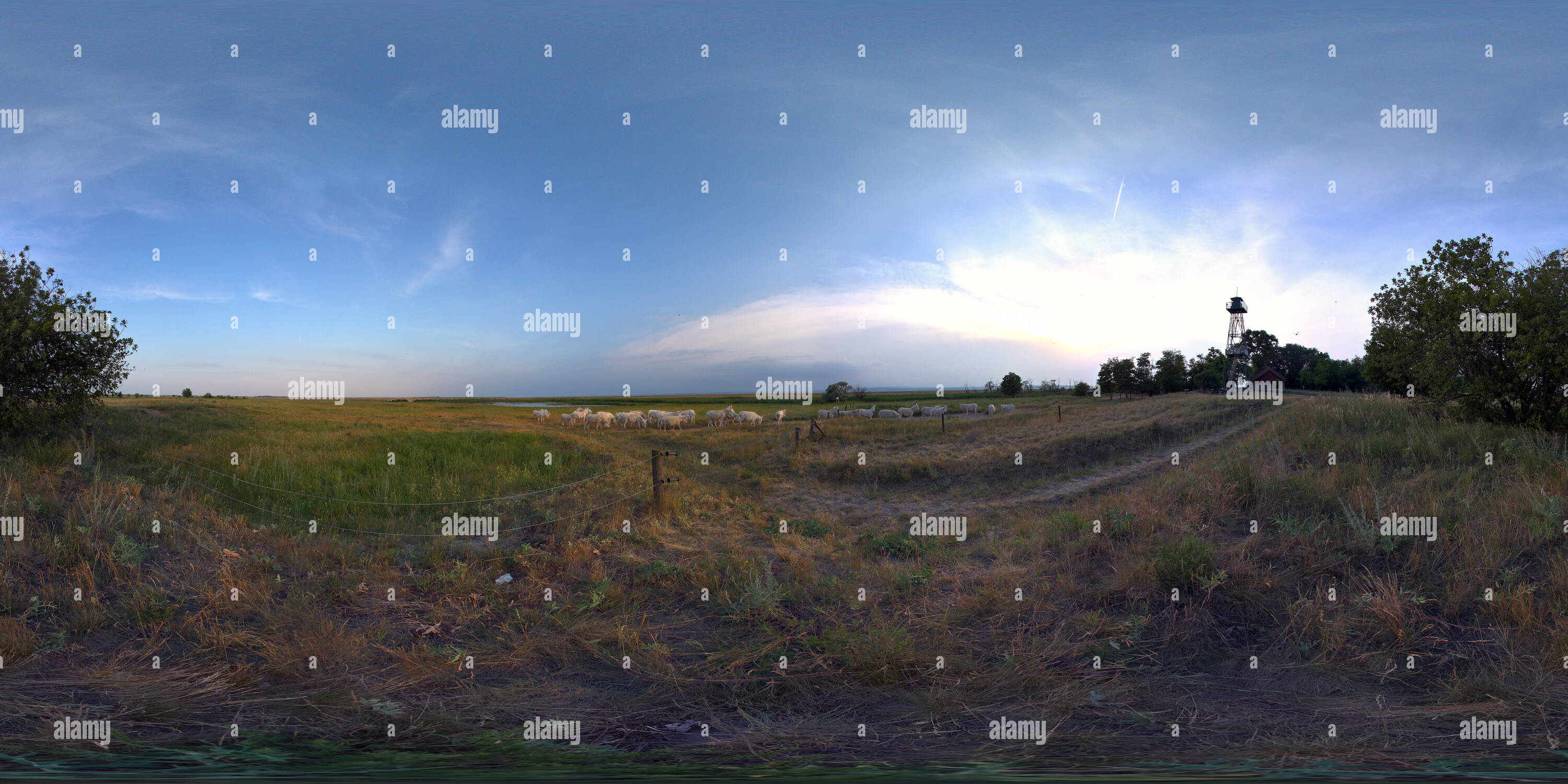 Vue panoramique à 360° de À l'âne blanc Nationalpark Neusiedlersee