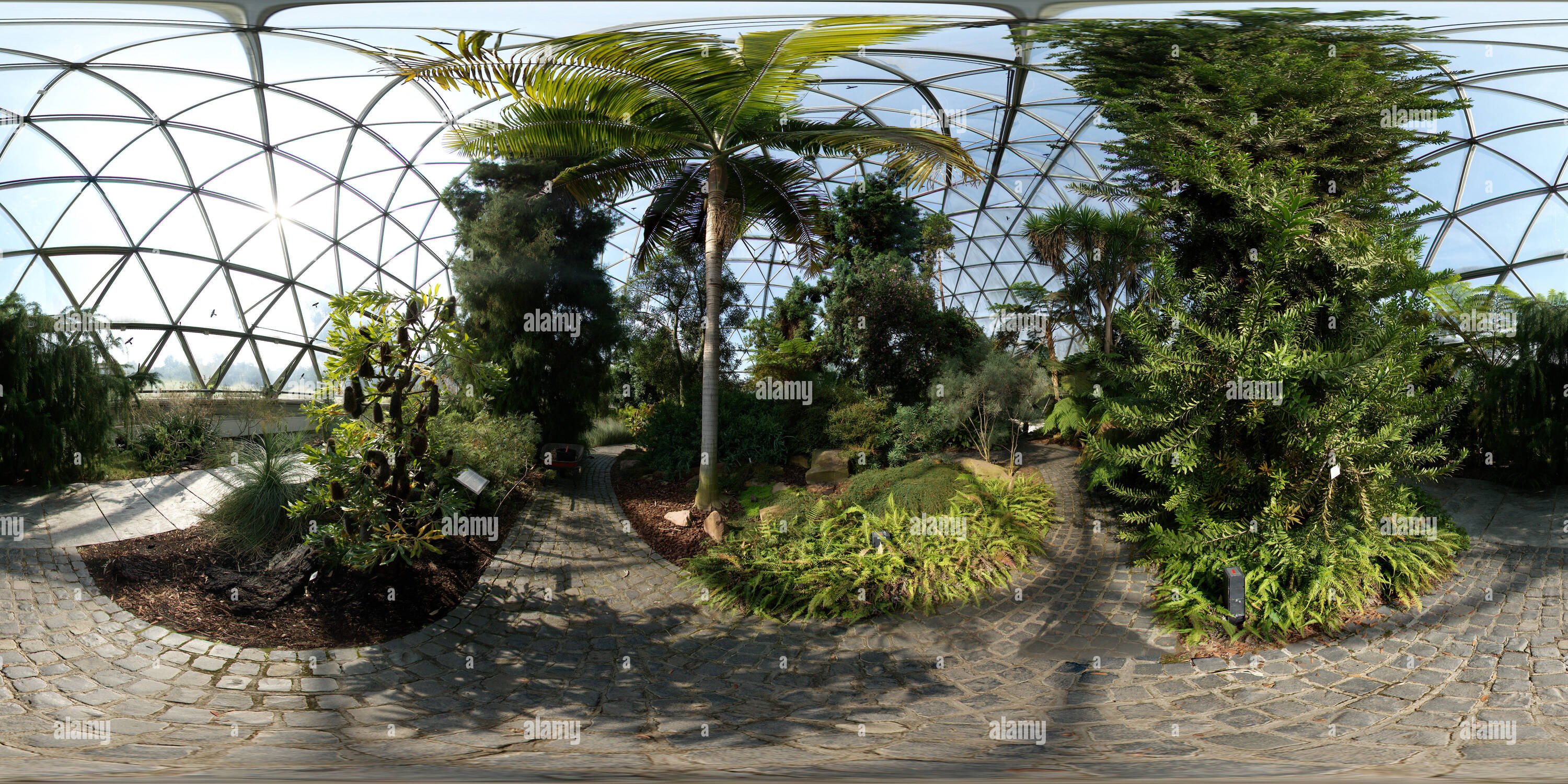 Vue panoramique à 360° de Serre dome à l'Université Heinrich-Heine de jardins botaniques, Düsseldorf, NRW, Allemagne