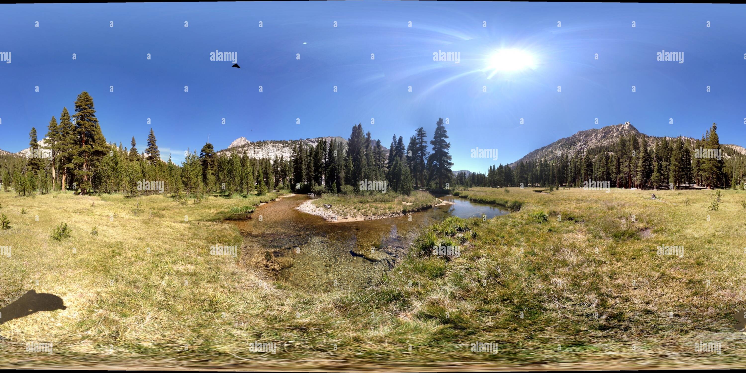 Vue panoramique à 360° de Prairie le long du ruisseau Bubbs Vidette