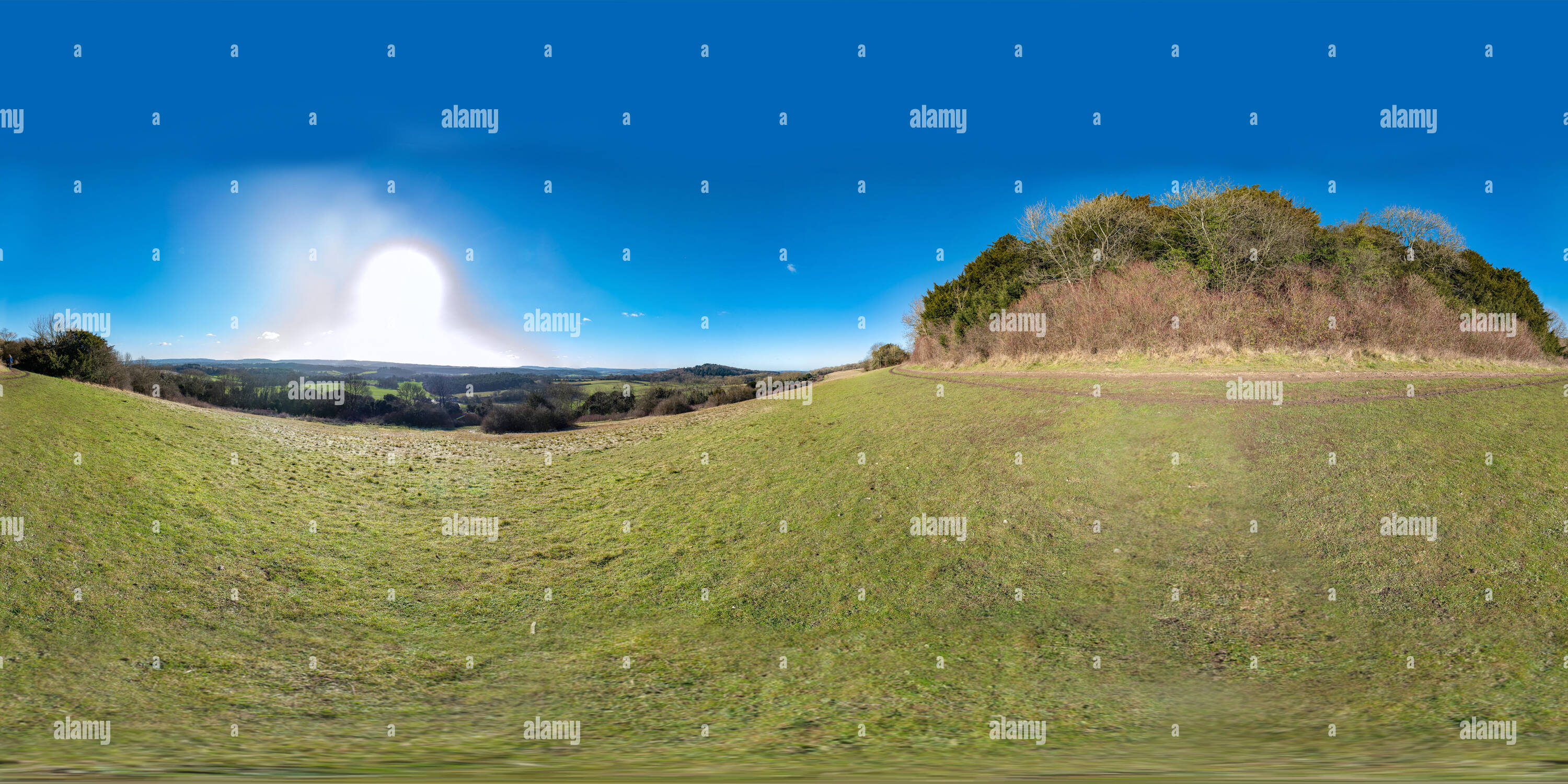 Vue panoramique à 360° de Vue sur les collines du Surrey de Newlands Corner sous le soleil d'hiver de l'après-midi.