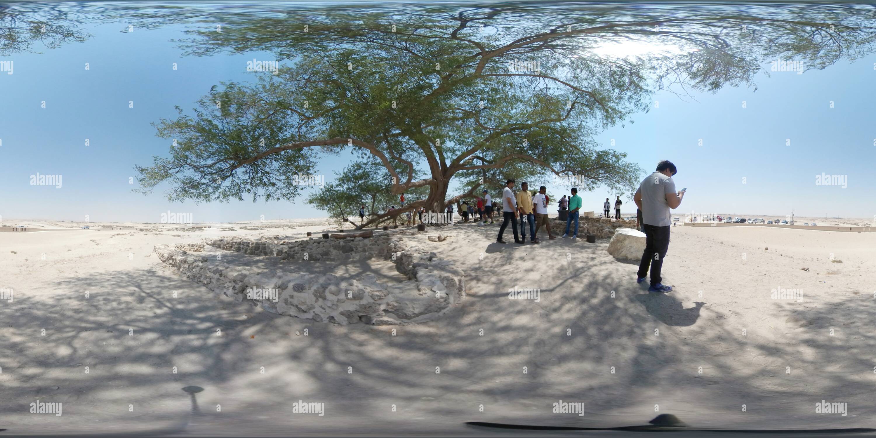 Vue panoramique à 360° de Arbre de Vie, Bahreïn