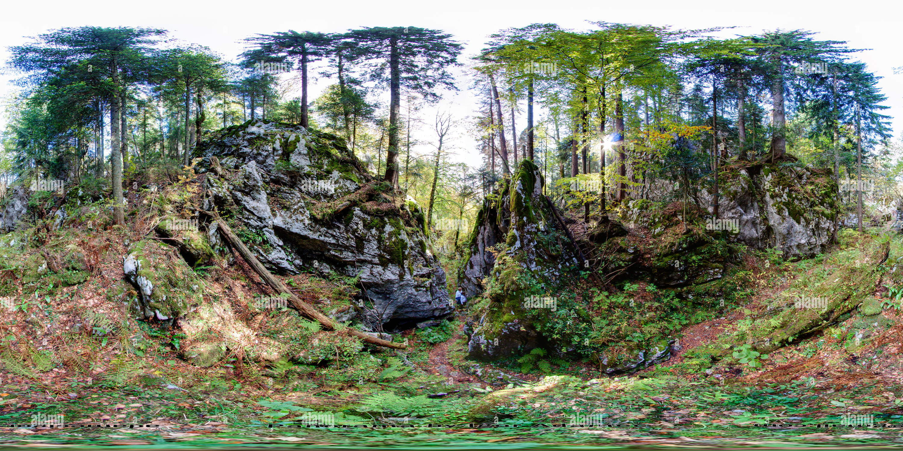 Vue panoramique à 360° de Klanac kostura (squelette Gulch)