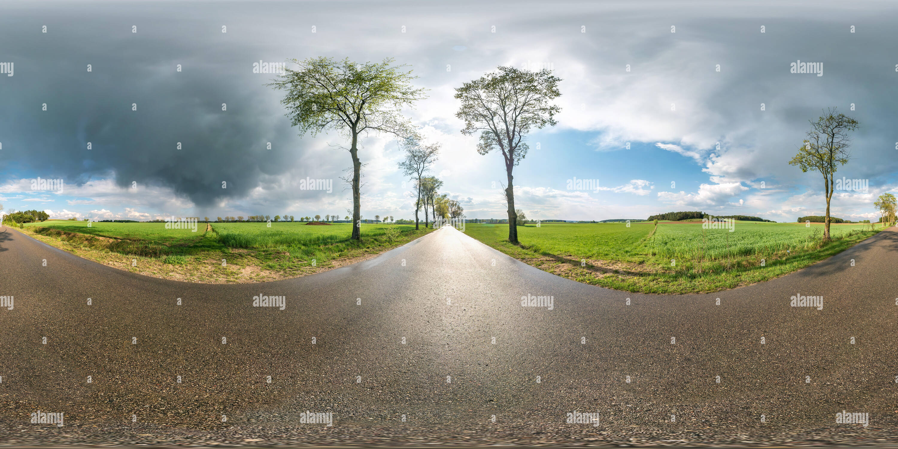 Vue panoramique à 360° de Panorama sphérique complet 360 degrés transparente de l'angle de vue sur aucun trafic route asphaltée entre alley et de champs avec des nuages impressionnants après la pluie dans equirectan