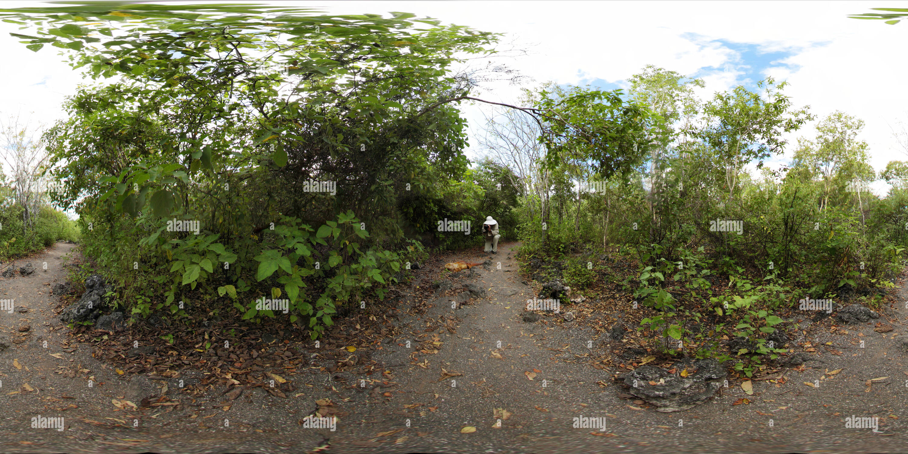 Vue panoramique à 360° de L'île Isabela à Iguana