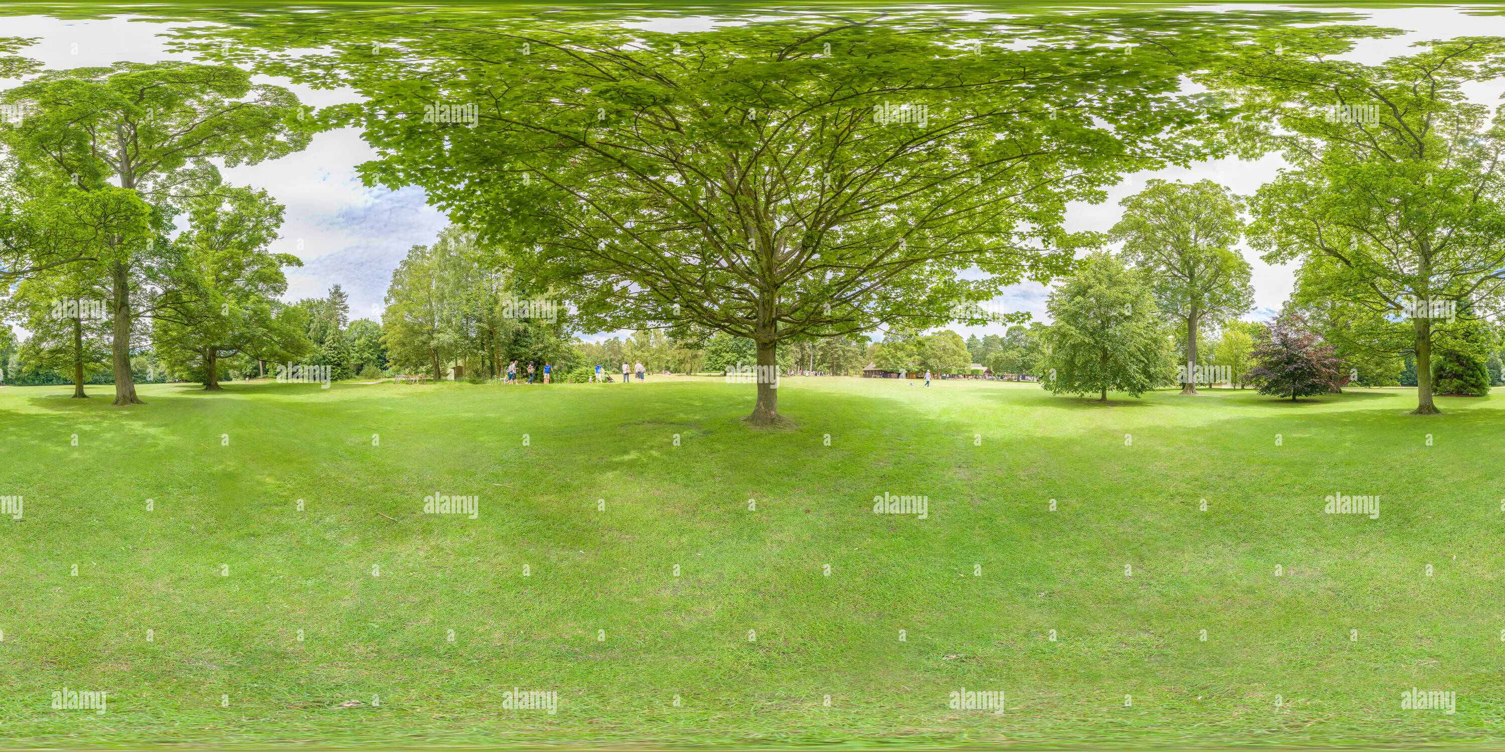 Vue panoramique à 360° de Les motifs de Sandringham, Norfolk, parc sur une journée ensoleillée.