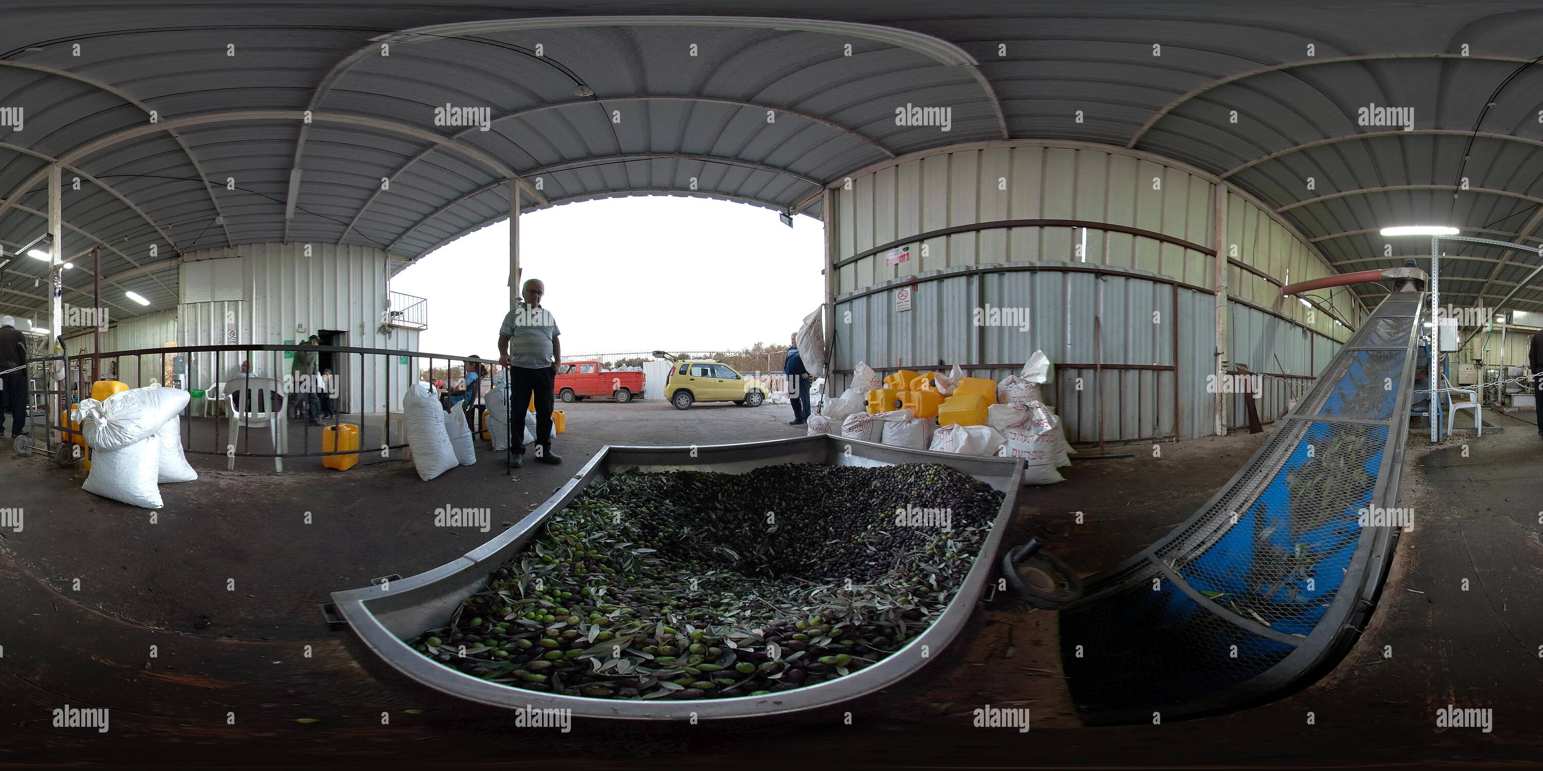 Visualizzazione panoramica a 360 gradi di La lavorazione dell'olio d'oliva, le olive trasportati in un luogo dove verranno lavati, frantumato, premuto e imbottigliato. 360VR panorama foto