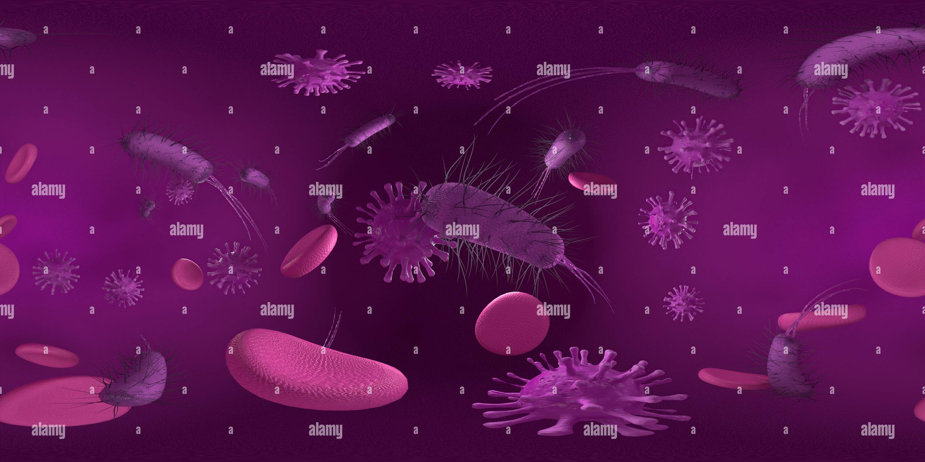 Visualizzazione panoramica a 360 gradi di 3D rendering Micoscopio virus batteri primo piano. Immagine VR a 360° equirettangolare. Lo sfondo medico panoramico.