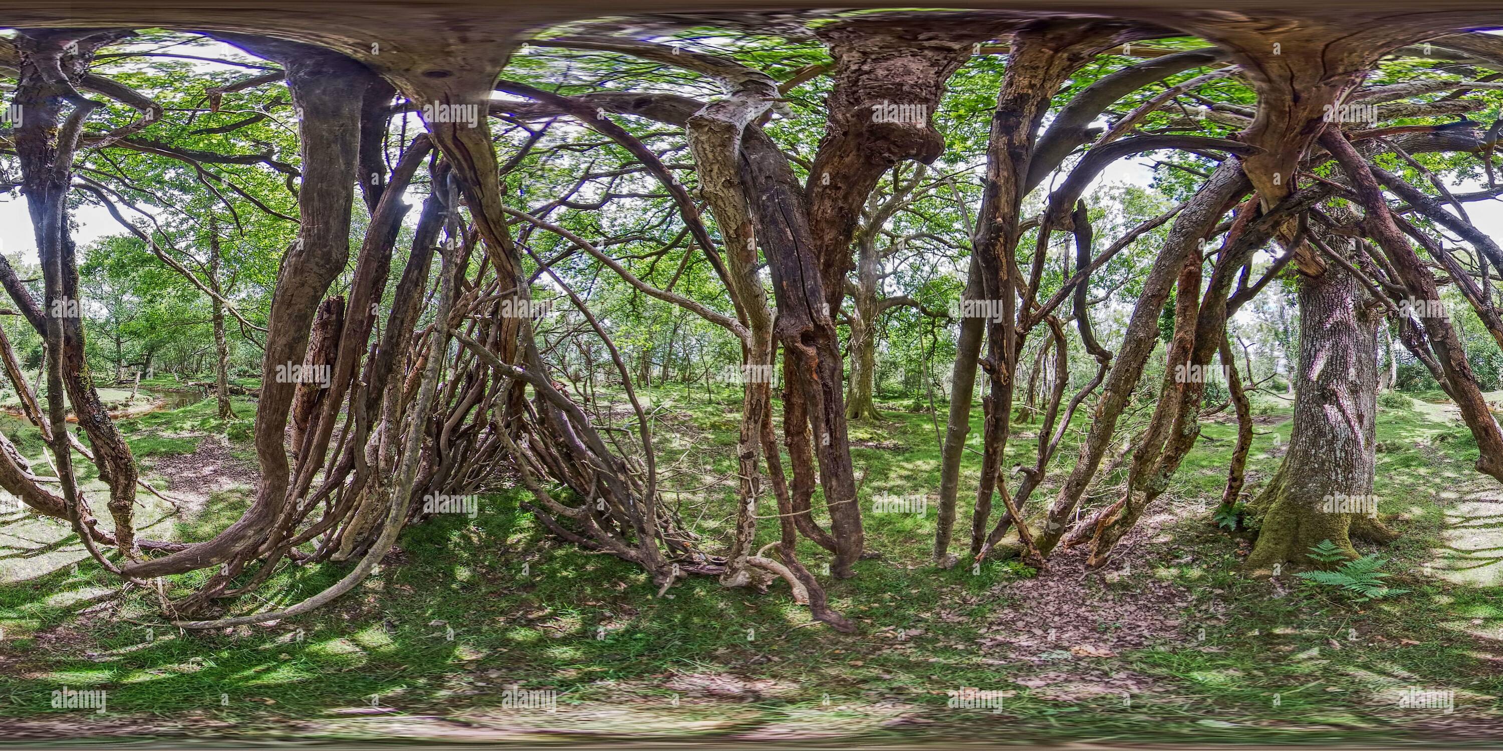 Visualizzazione panoramica a 360 gradi di Rifugio di sopravvivenza (360VR)