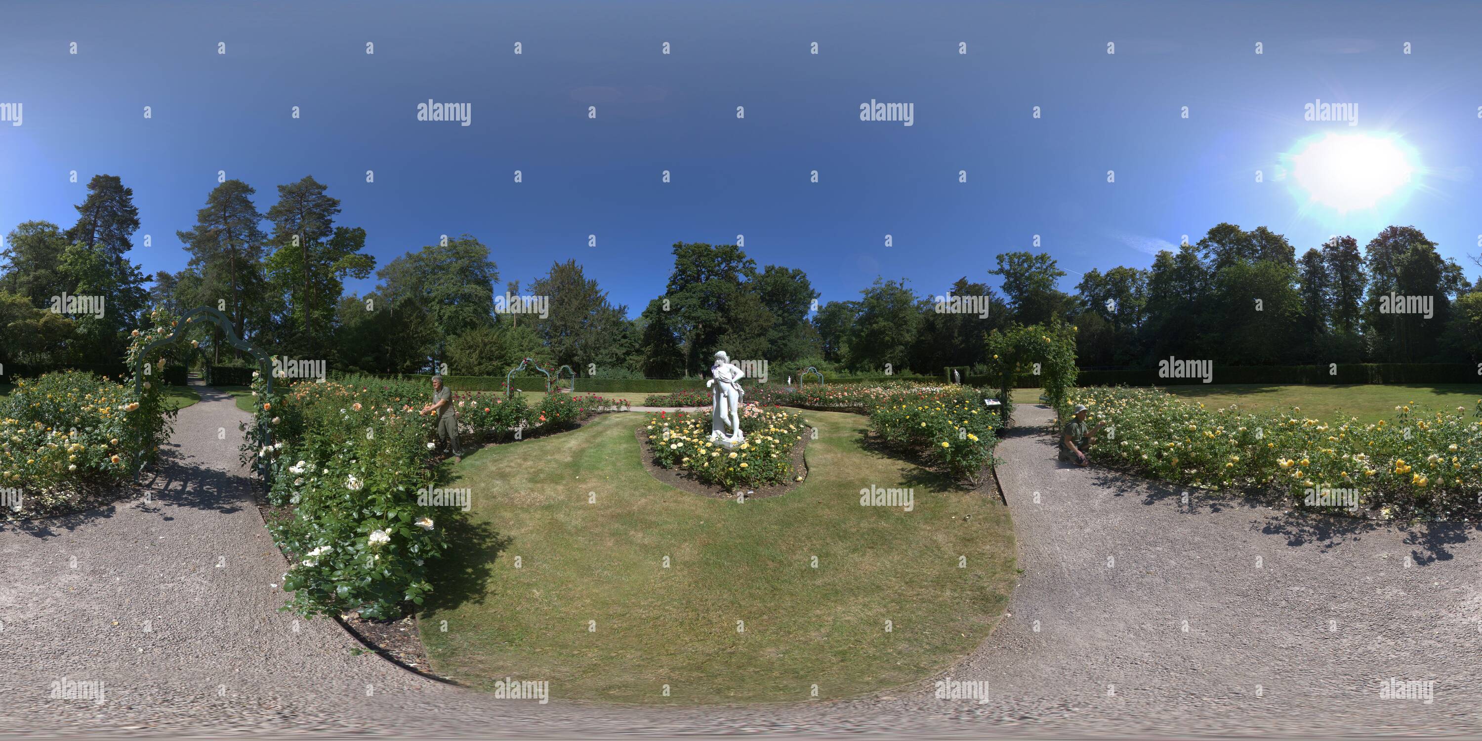 Visualizzazione panoramica a 360 gradi di I giardinieri del National Trust hanno messo gli ultimi tocchi al Rose Garden di Cliveden, Cliveden House, Berkshire. Credito immagine : © MARK PAIN / ALAMY