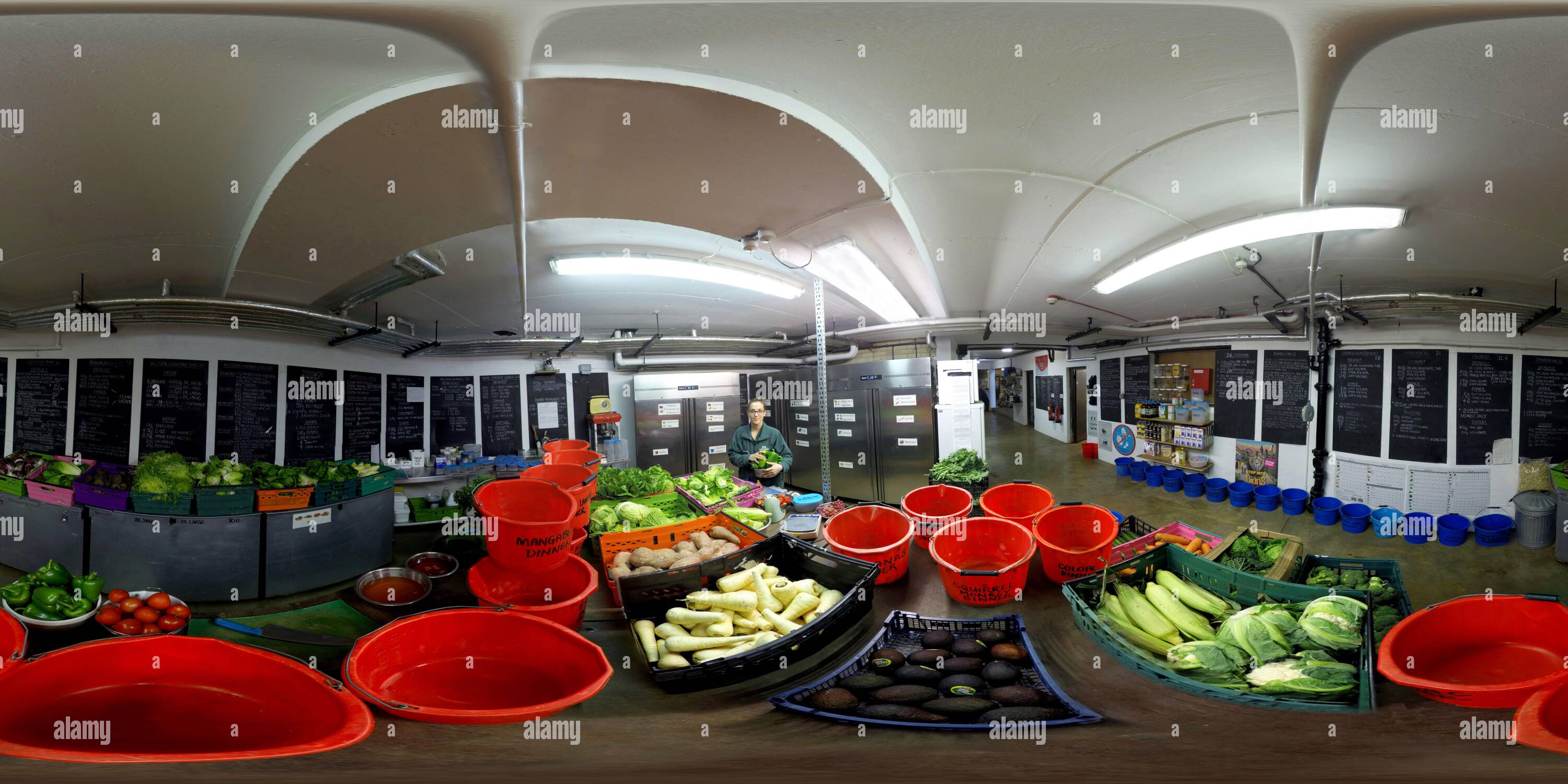 Visualizzazione panoramica a 360 gradi di LA CUCINA ANIMALE ALLO ZOO DI LONDRA. IMMAGINE DI CREDITO : © MARK PAIN / ALAMY