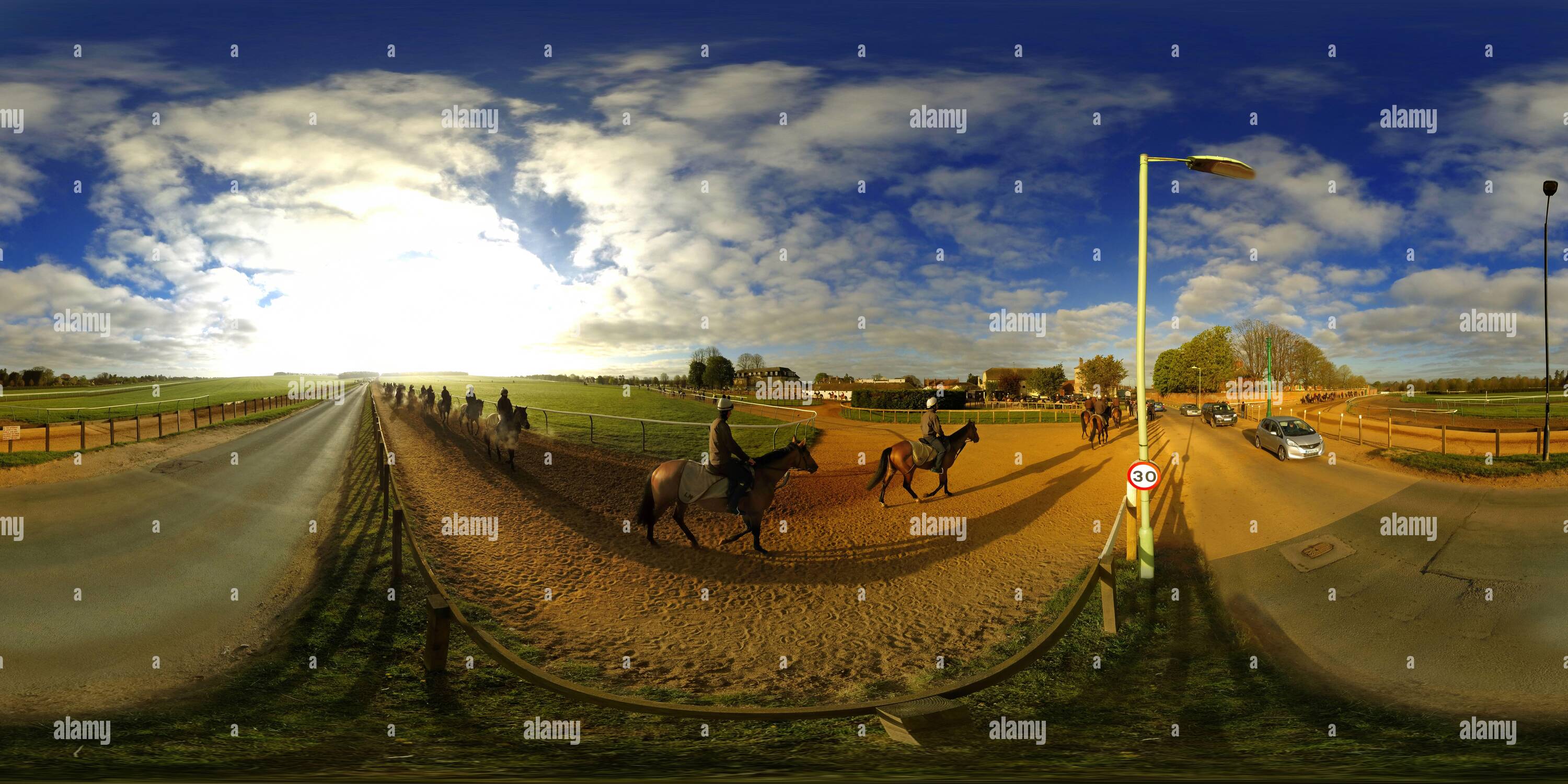 Visualizzazione panoramica a 360 gradi di CAVALLI DA CORSA PUROSANGUE DI ARRIVARE IN FONDO ALLE GALOPPE A WARREN HILL, IL GALOPPO PRINCIPALE A NEWMARKET, SUFFOLK. IMMAGINE : MARK PAIN / ALAMY