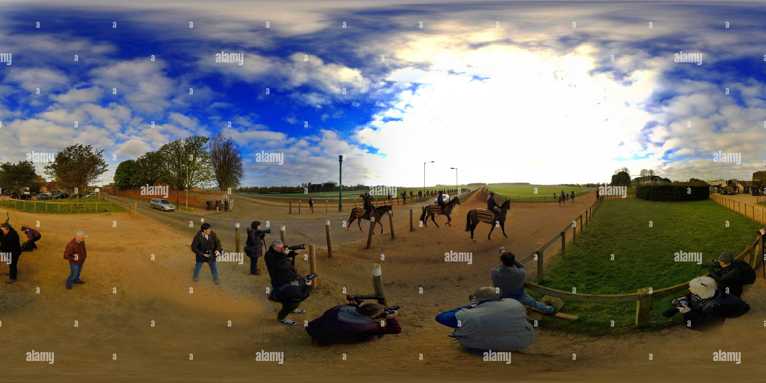 Visualizzazione panoramica a 360 gradi di CAVALLI DA CORSA PUROSANGUE DI ARRIVARE IN FONDO ALLE GALOPPE A WARREN HILL, IL GALOPPO PRINCIPALE A NEWMARKET, SUFFOLK. IMMAGINE : MARK PAIN / ALAMY