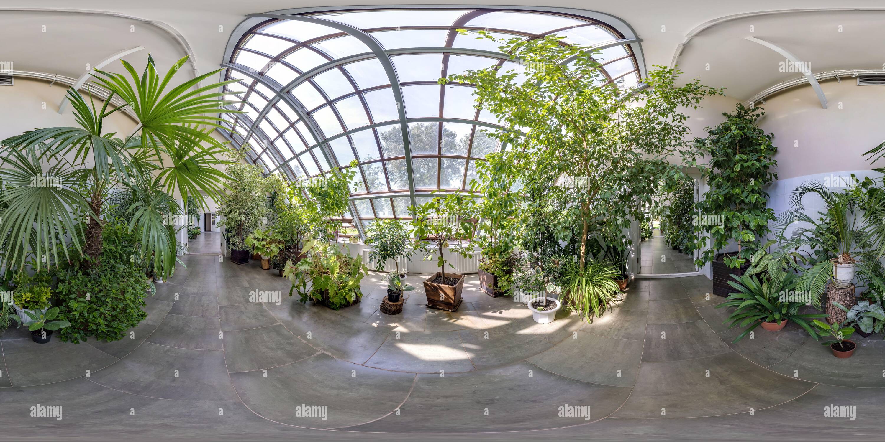 Visualizzazione panoramica a 360 gradi di panorama hdri sferico senza giunture a 360 gradi in serra con molte piante in proiezione equirettangolare. Contenuti VR AR,