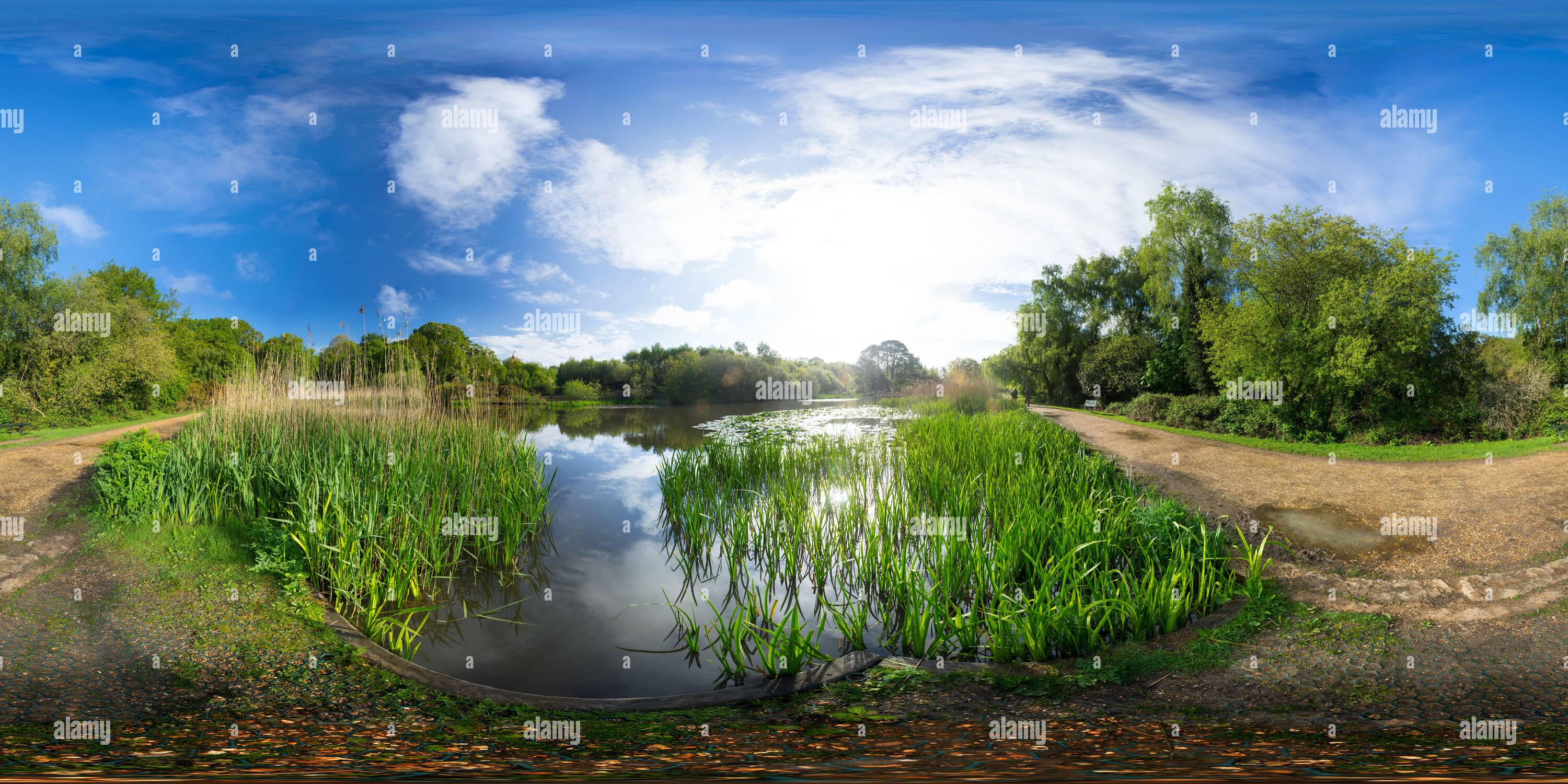Visualizzazione panoramica a 360 gradi di Il lago ornamentale su Southampton Common in primavera. Southampton, Inghilterra.