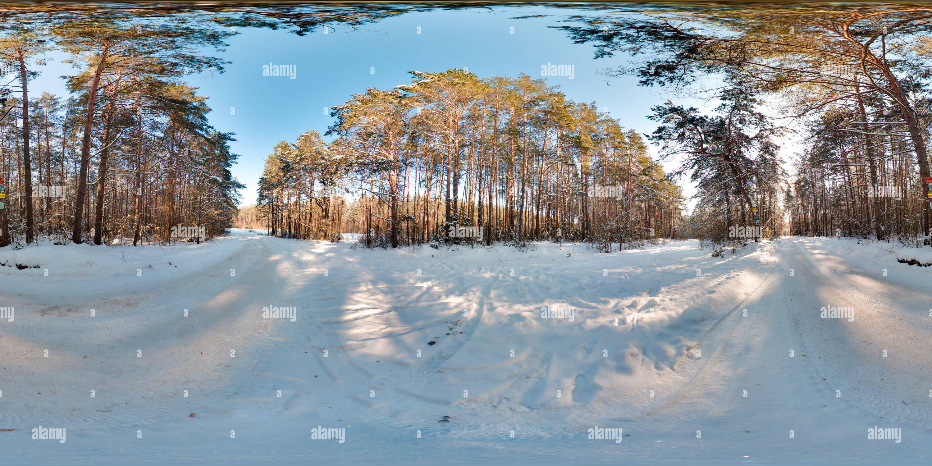 Visualizzazione panoramica a 360 gradi di Bellissimo paesaggio con alberi blu strada cielo sole neve in inverno 3D panorama sferico con 360 gradi angolo di visione pronto per realtà virtuale vr Full