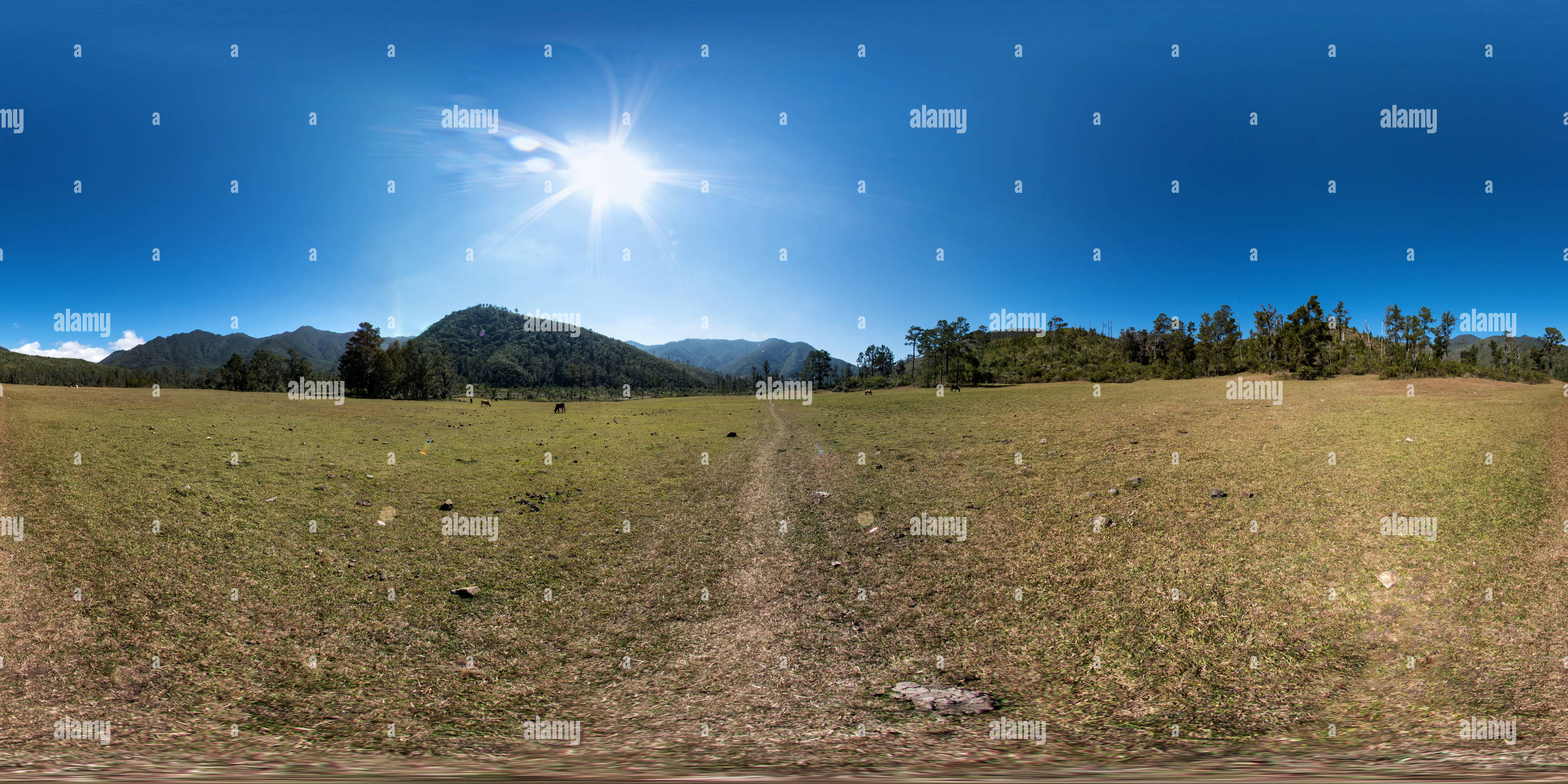 Visualizzazione panoramica a 360 gradi di Valle del Tetero, Repubblica Dominicana