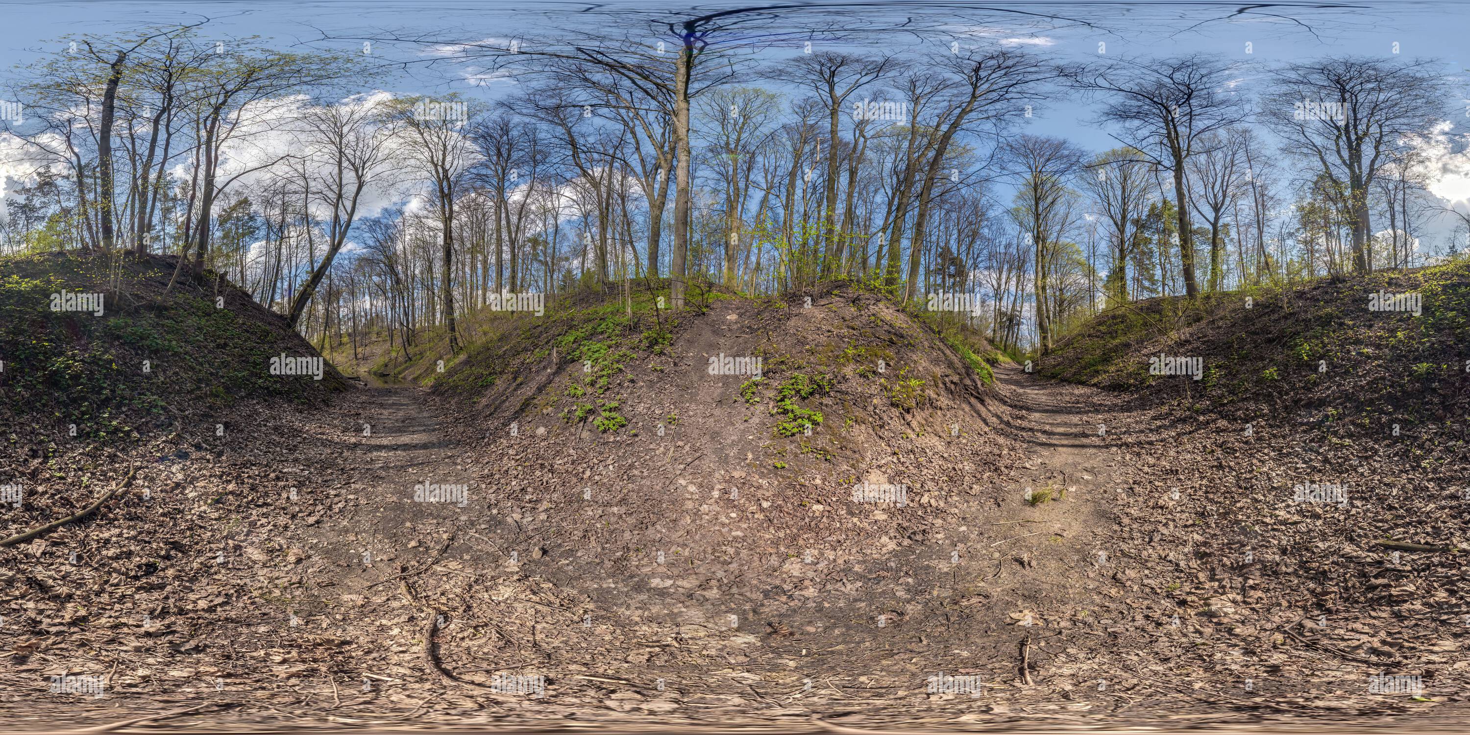 Visualizzazione panoramica a 360 gradi di Vista panoramica completa sferica senza cuciture hdri 360 sul percorso in burrone tra foreste decidue in proiezione equirettangolare, contenuto VR AR,