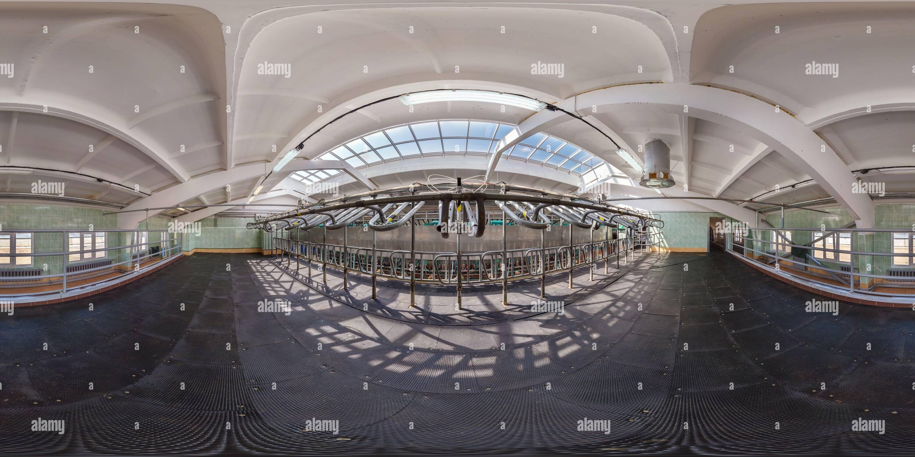 Visualizzazione panoramica a 360 gradi di panorama 360 completamente senza cuciture all'interno di una cappottatura vuota senza mucche in proiezione sferica equirettangolare. Bovini riproduttori in guscio libero