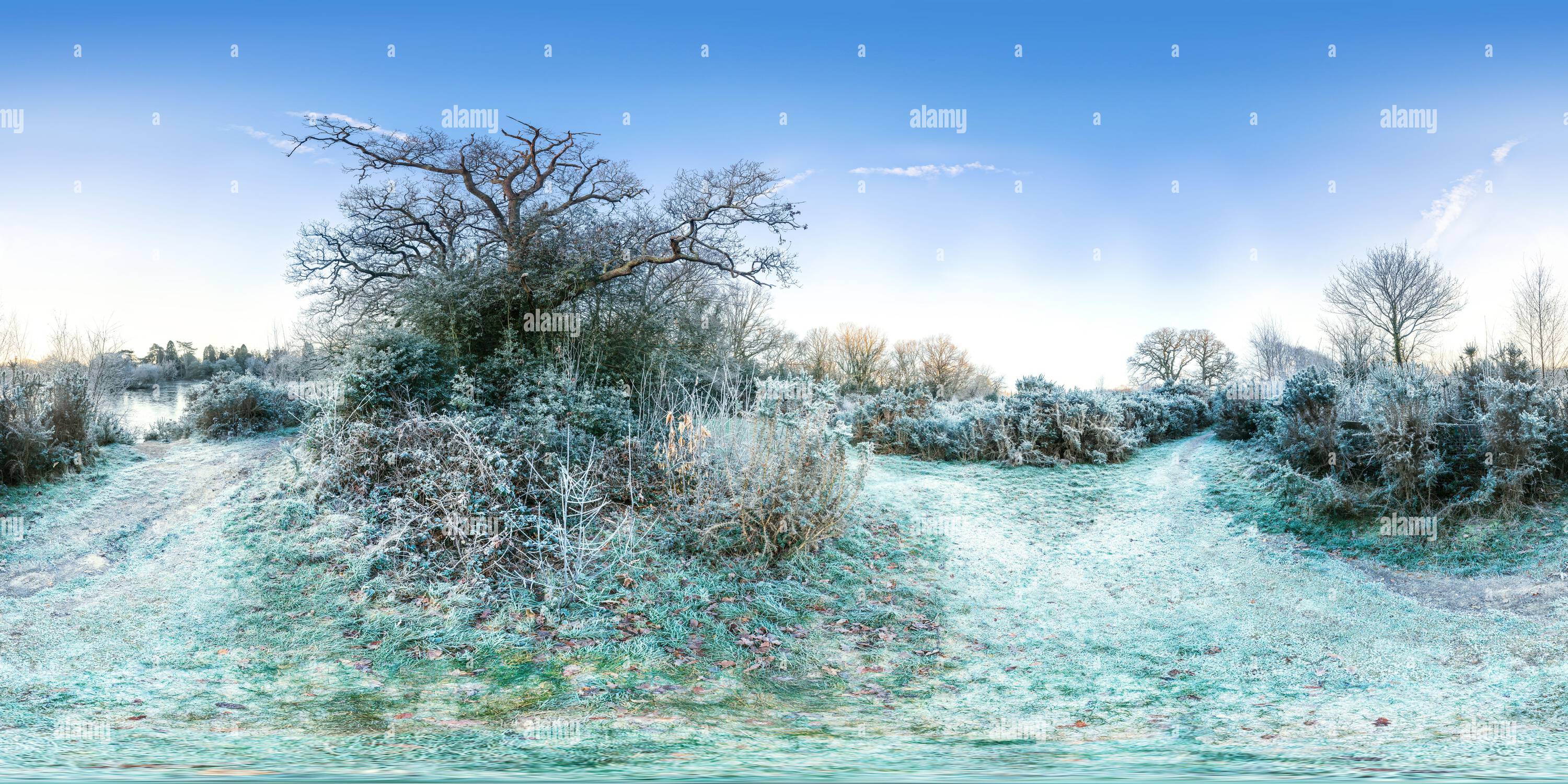 Visualizzazione panoramica a 360 gradi di Una gelida mattinata invernale vicino al Cemetery Lake sul Southampton Common. Southampton, Inghilterra.