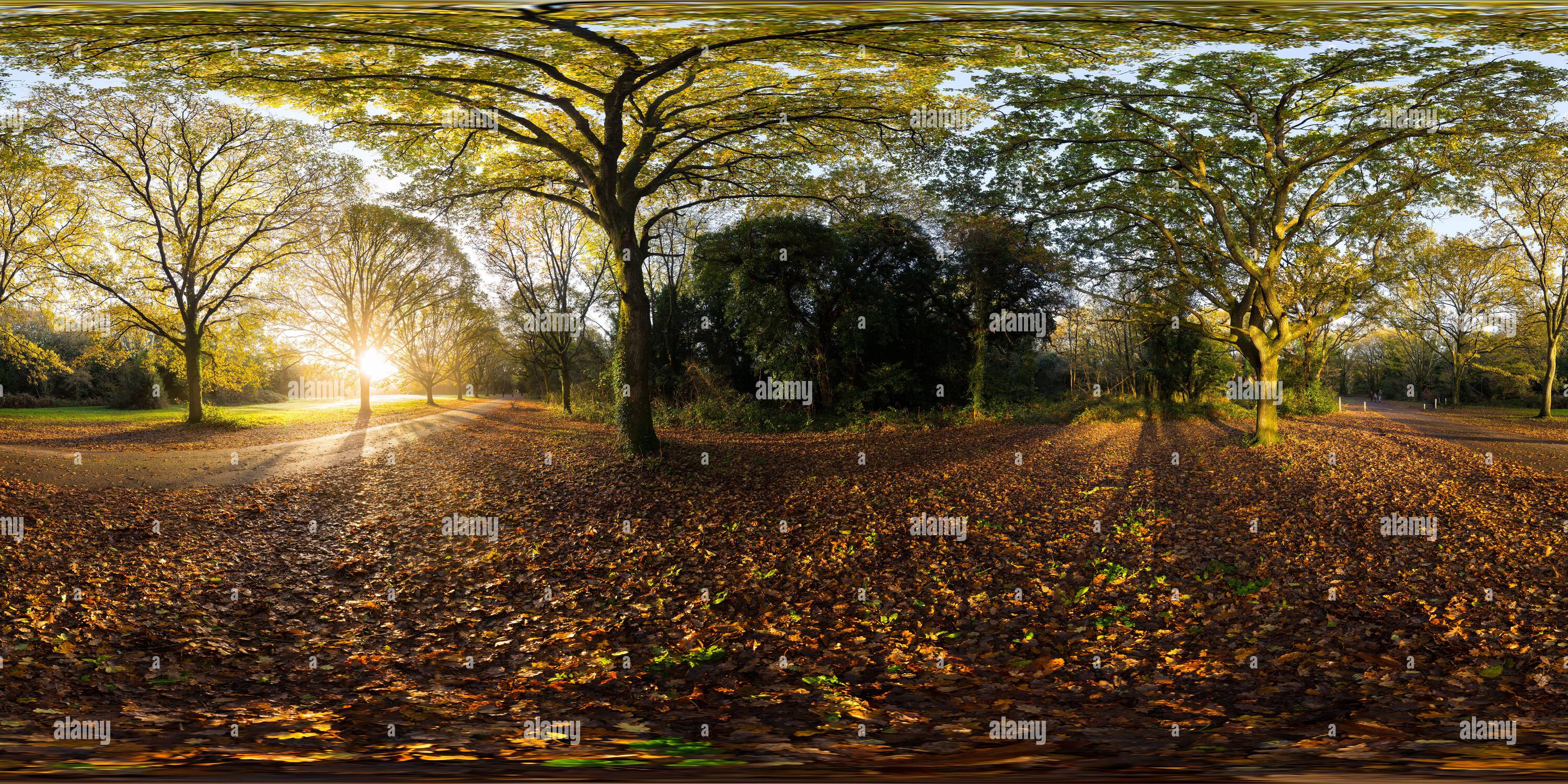 Visualizzazione panoramica a 360 gradi di Alba autunnale lungo Coronation Drive su Southampton Common, Southampton, Hampshire, Inghilterra