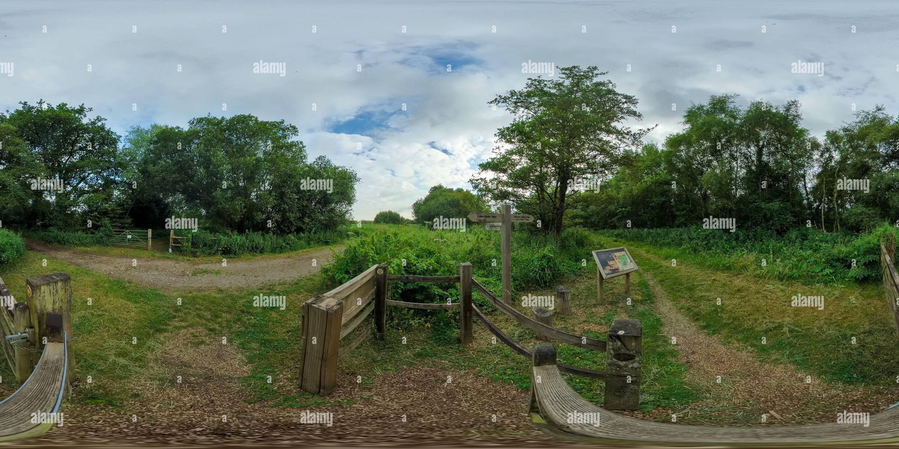 Visualizzazione panoramica a 360 gradi di Da Wooden Gate a Londra guidava nella riserva naturale nazionale di Westhay Moor