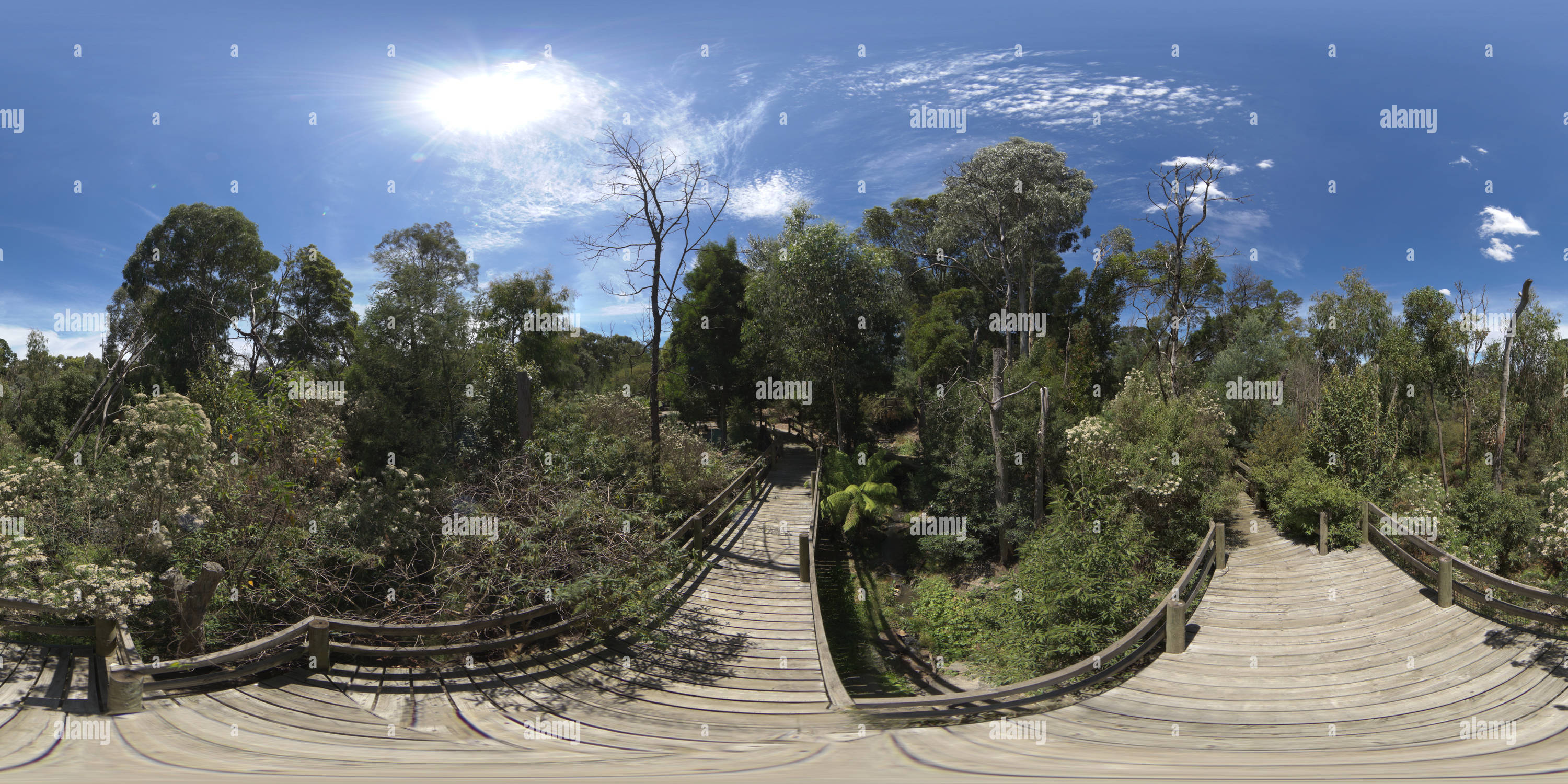 Visualizzazione panoramica a 360 gradi di Ringwood Lake