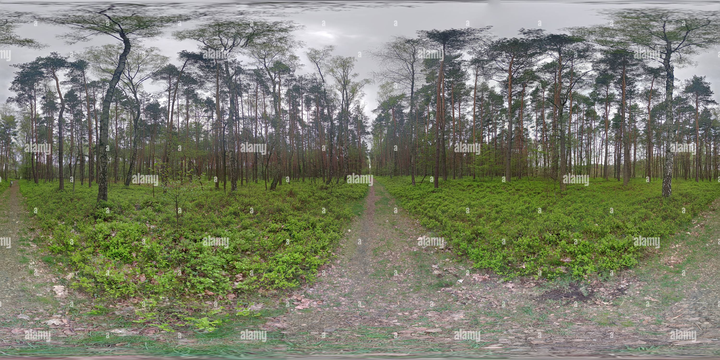 Visualizzazione panoramica a 360 gradi di Tarnowskie Góry Polonia