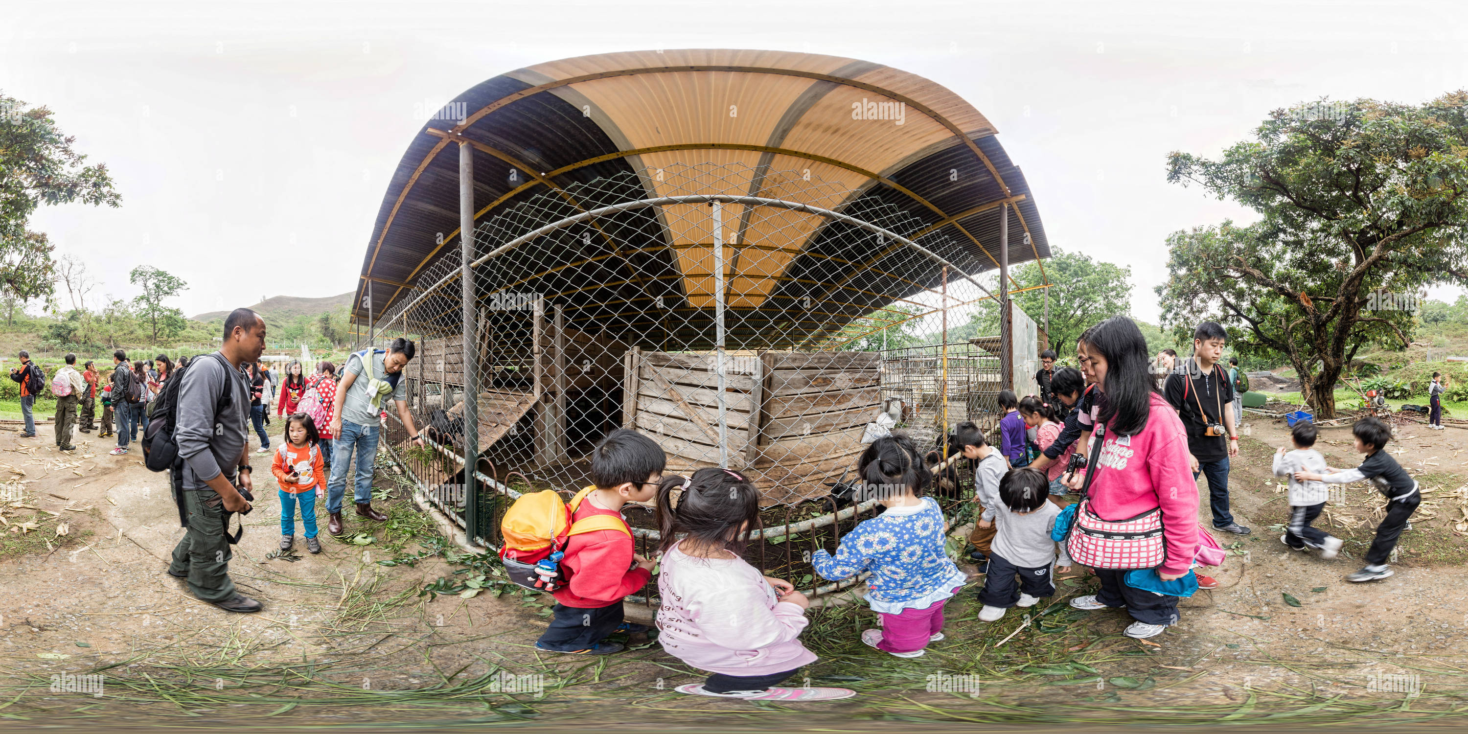 Visualizzazione panoramica a 360 gradi di Fattoria biologica a Kwu Tung, Hong Kong